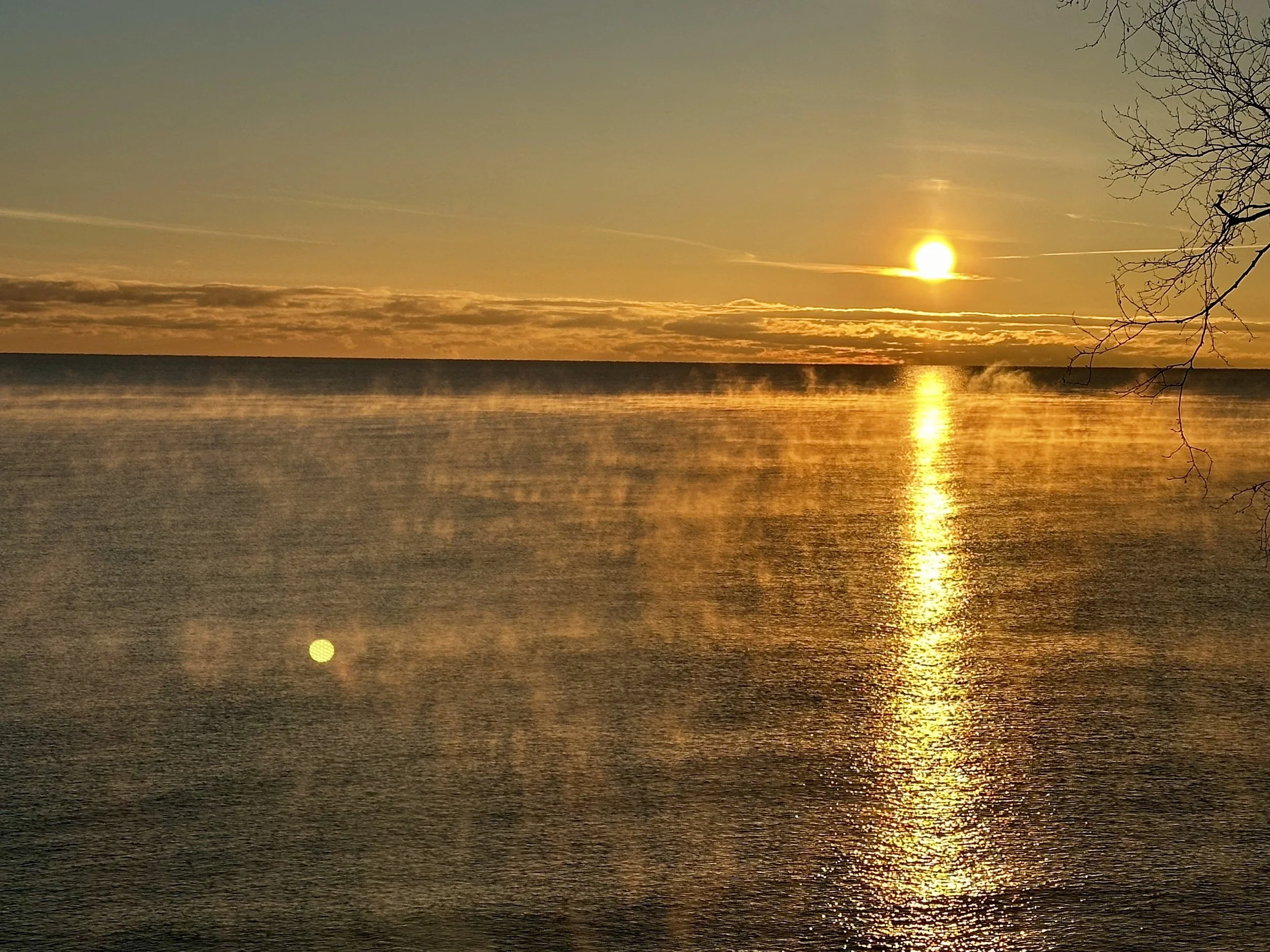 Sun setting over a body of water with mist rising from the surface, bare tree branches on the right, and a reflection of the sun on the water.