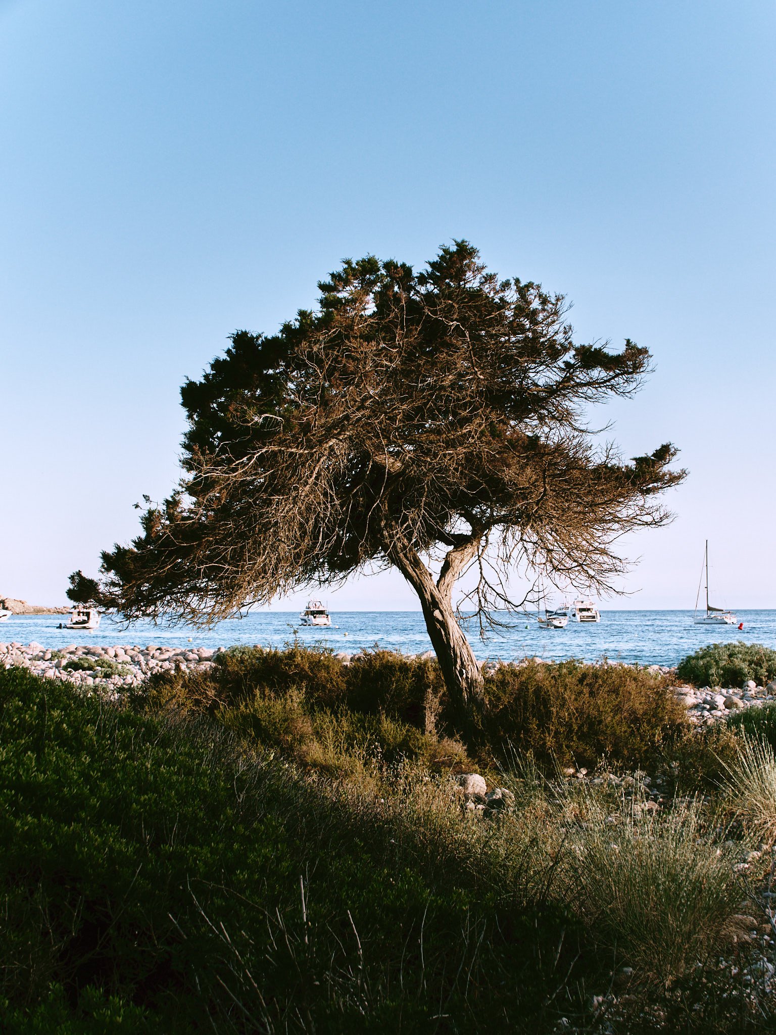 Byredo_Ibiza26L1011923_Flavio_Orsolato_web_sRGB.jpg