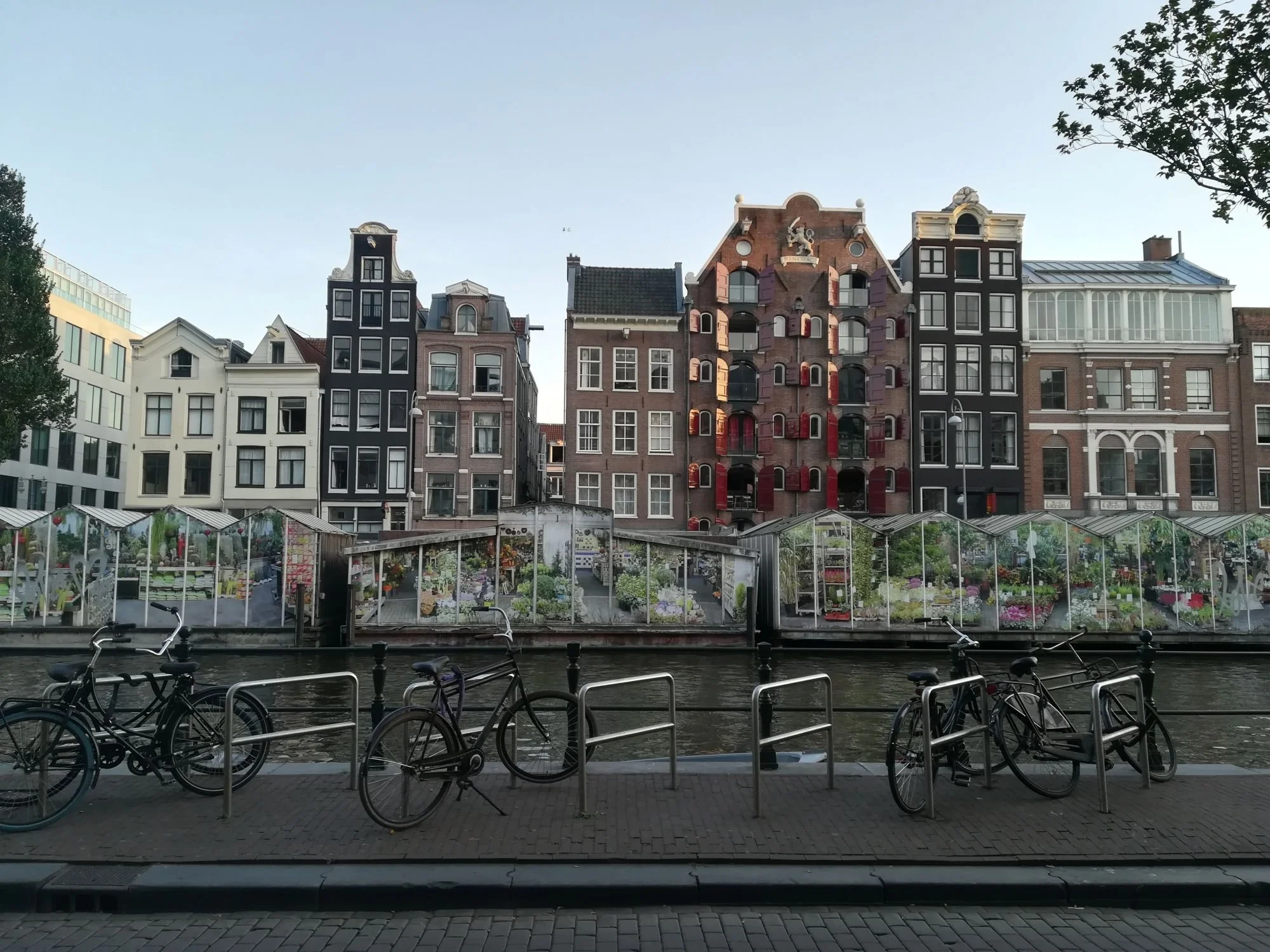Certified career coach in Amsterdam for expats looking for career clarity, job search strategy and support from a former recruiter.