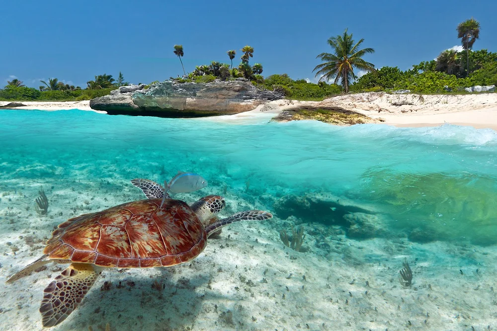 Where to travel in autumn 2026