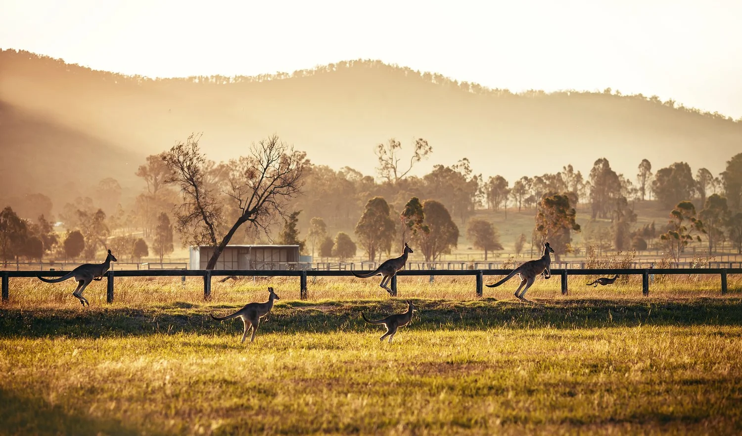 Australia luxury outback tour