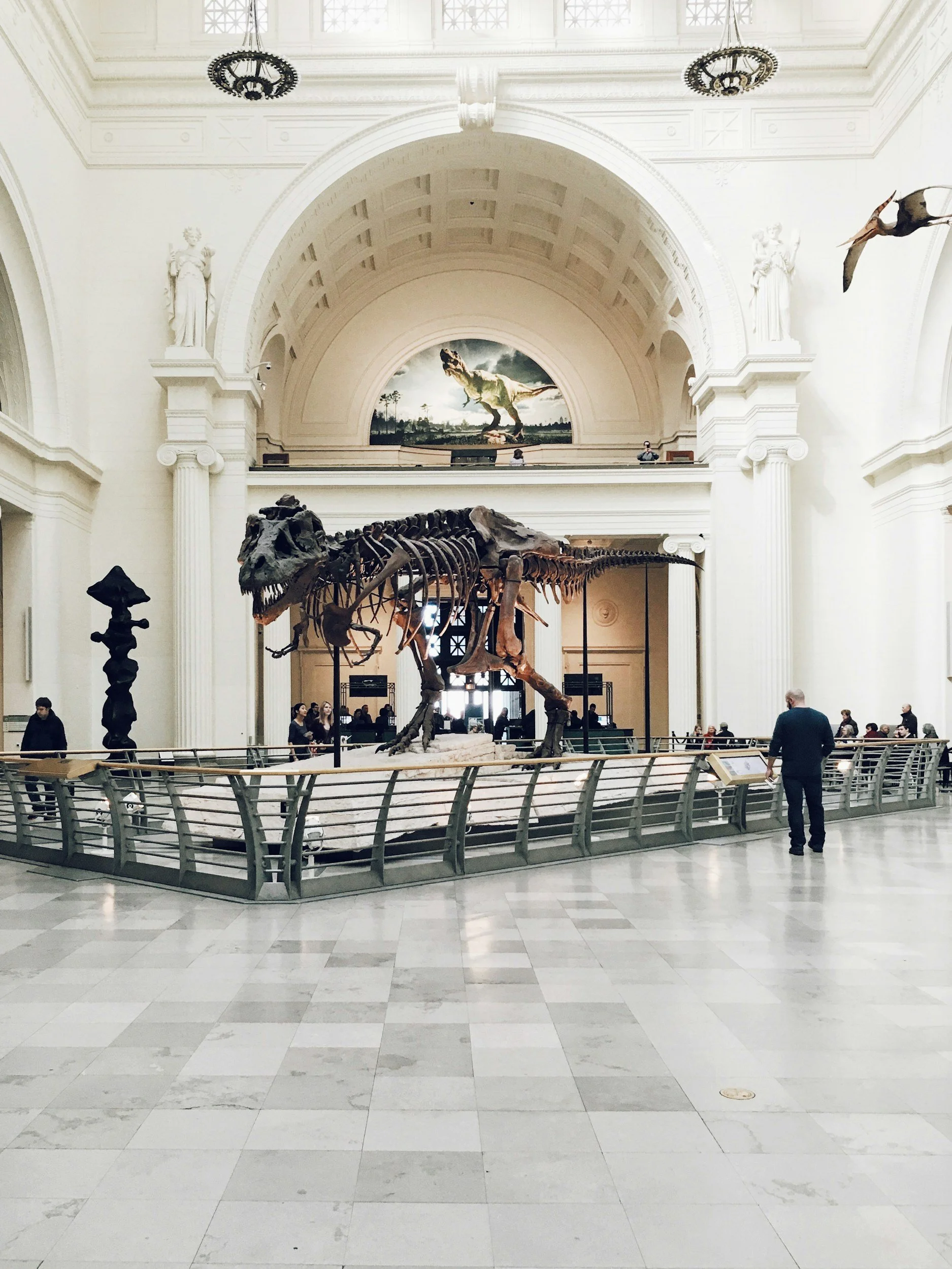 American Museum of Natural History — dinosaur halls and landmark science collections
