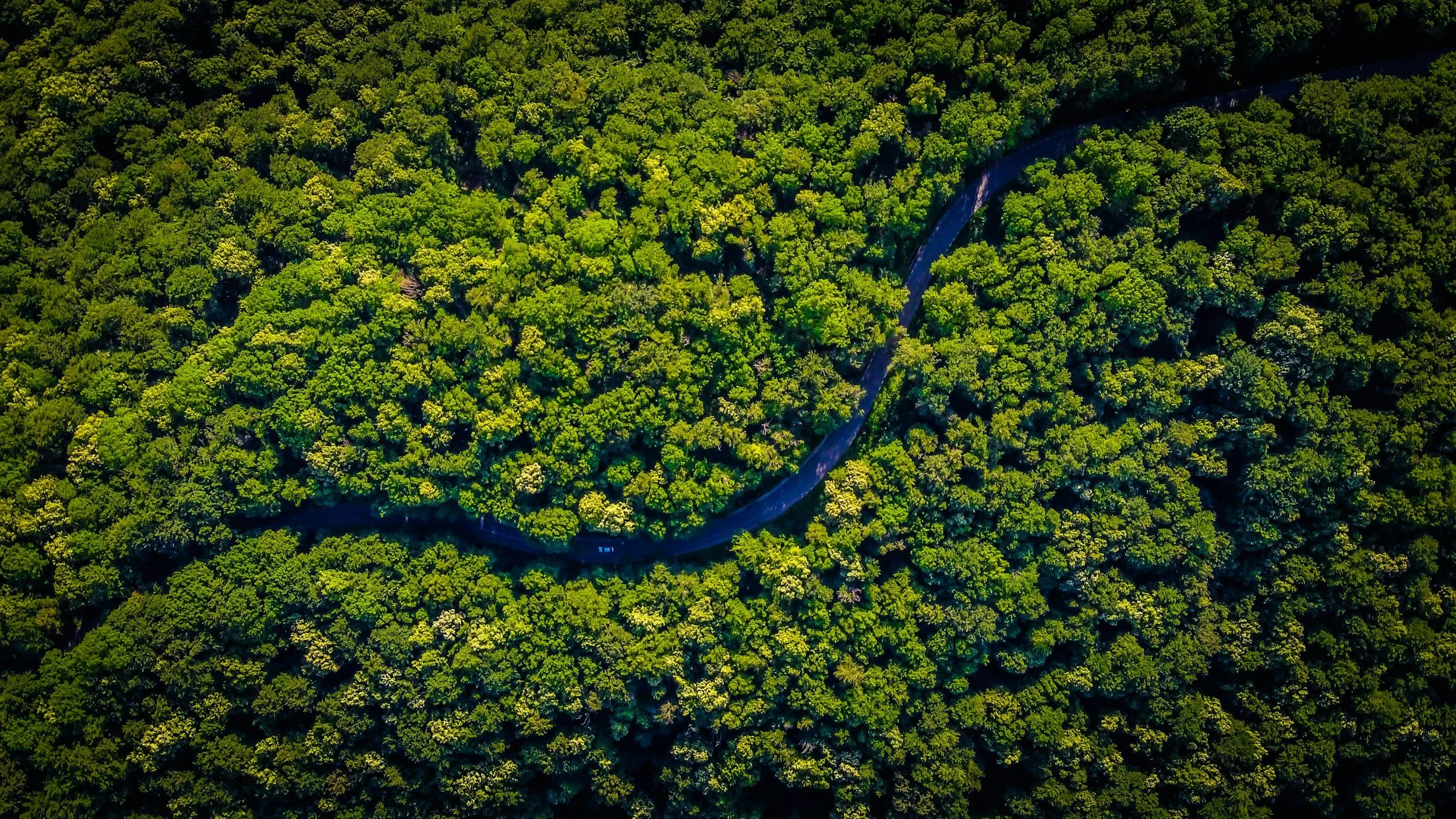 Amazon rainforest Brazil Peru wildlife eco lodge South America travel