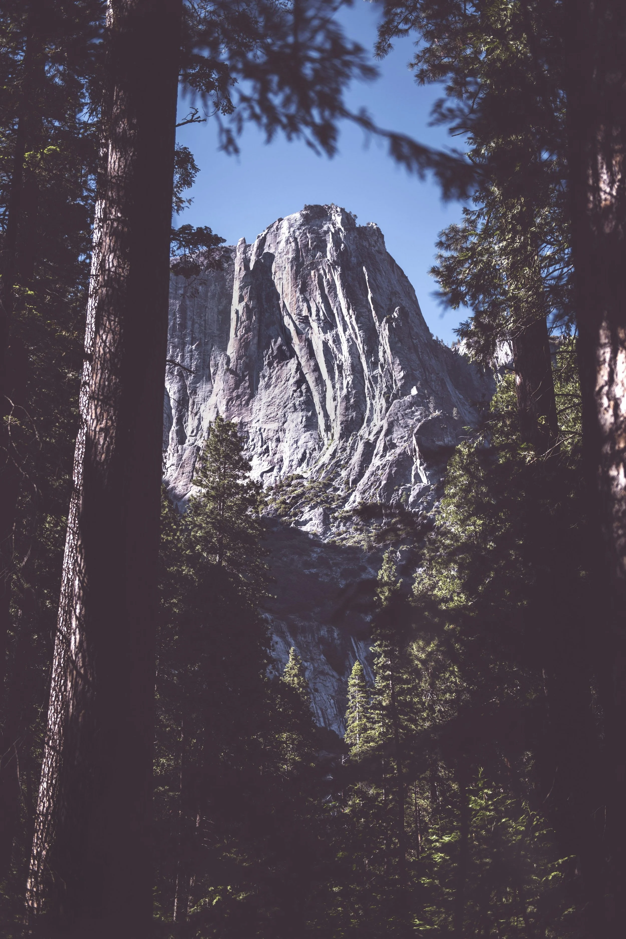 Granite cliffs and forest in Yosemite National Park, California.