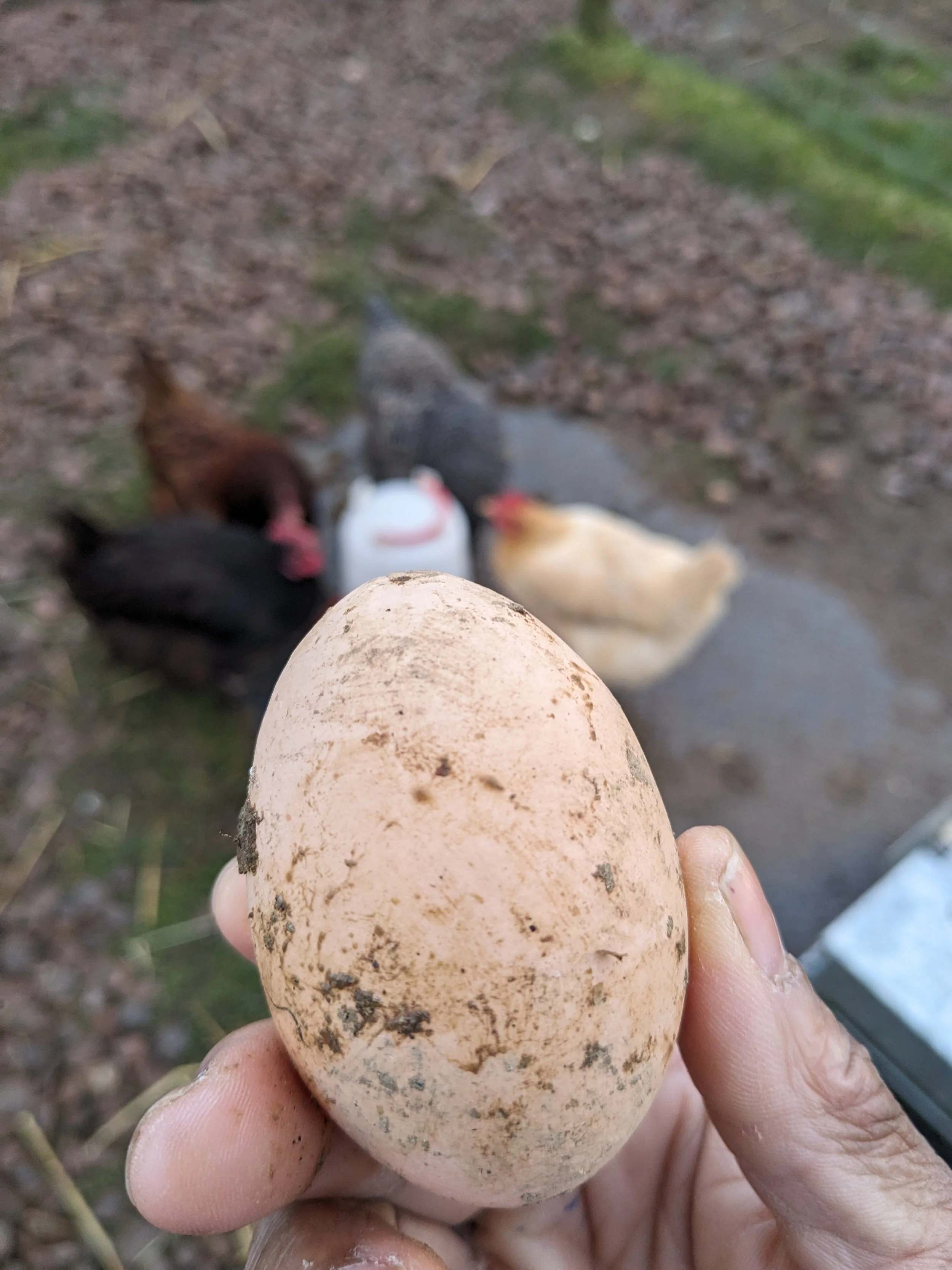 So You Wanna Be a Farmer?