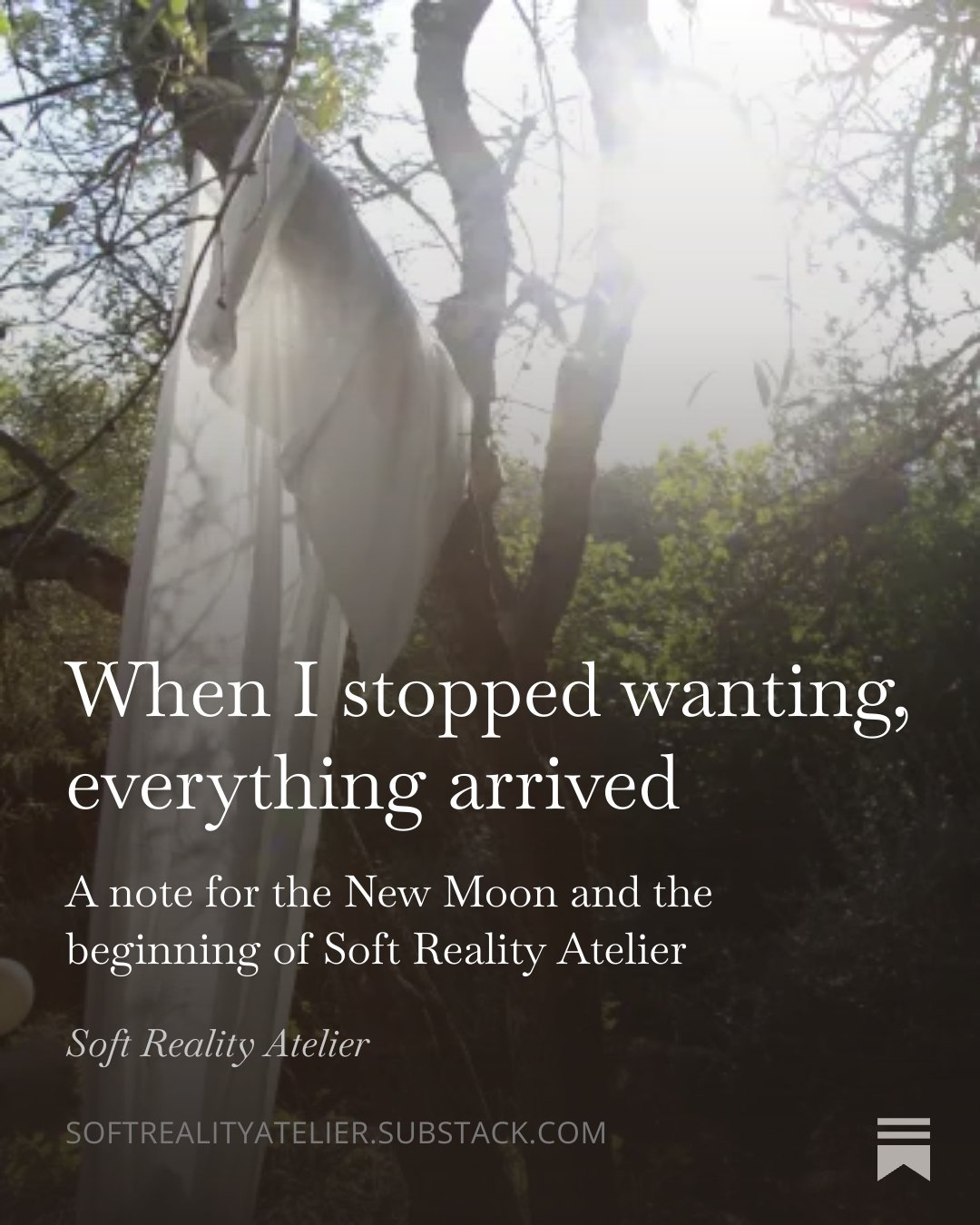 energetics, transurfing, substack, spirituality, article, manifestation, process, kundalini, vision