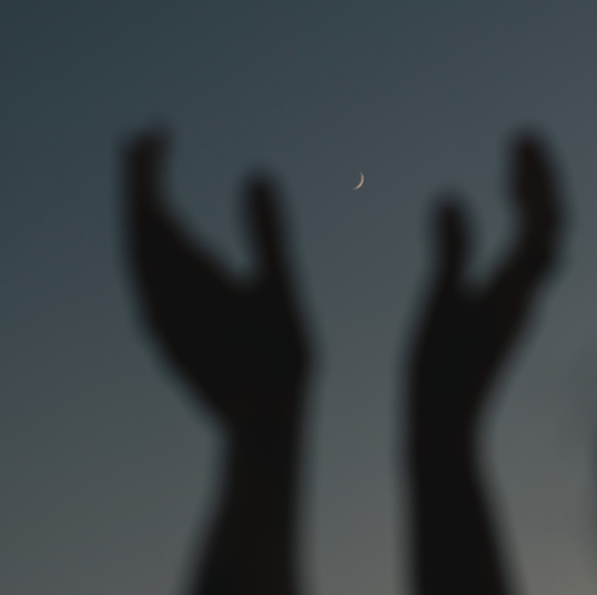 Screenshot 2024-02-07 at 10.38.03.png