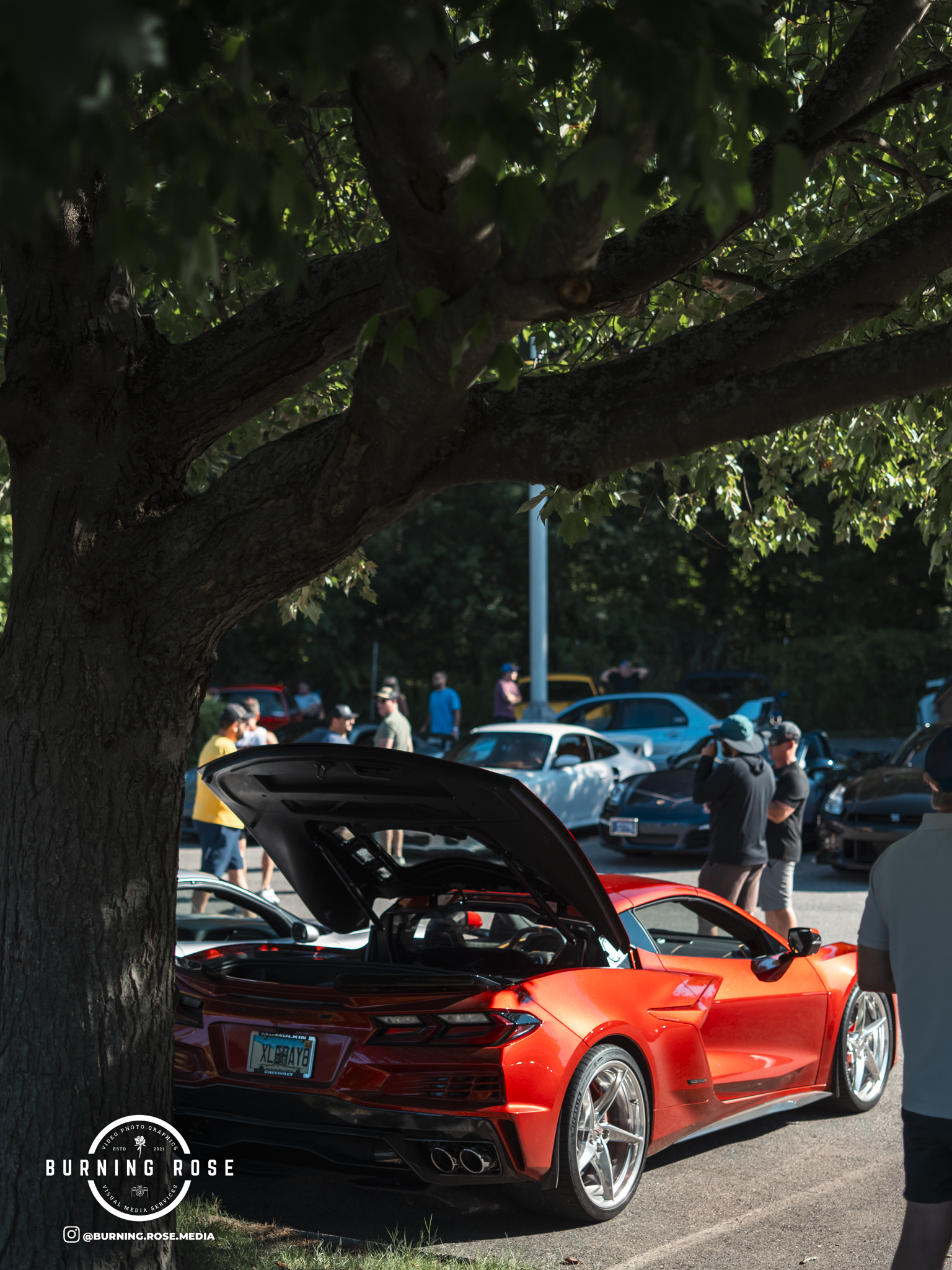 A bright red Chevrolet Corvette with its hood open at a car show, with people in the background and a large tree in the foreground.