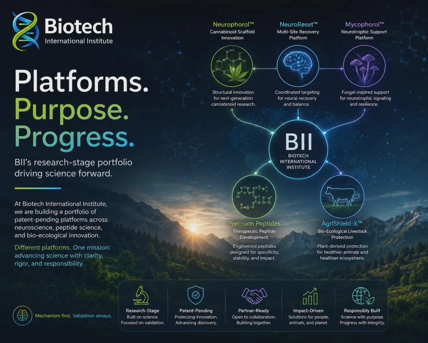 Platforms. Purpose. Progress.