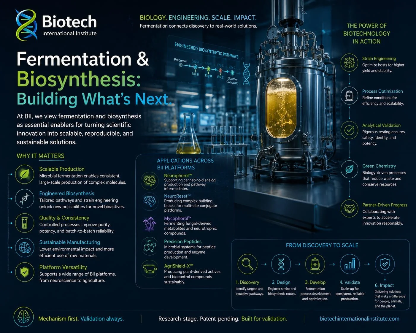 Fermentation and Biosynthesis: Building What’s Next