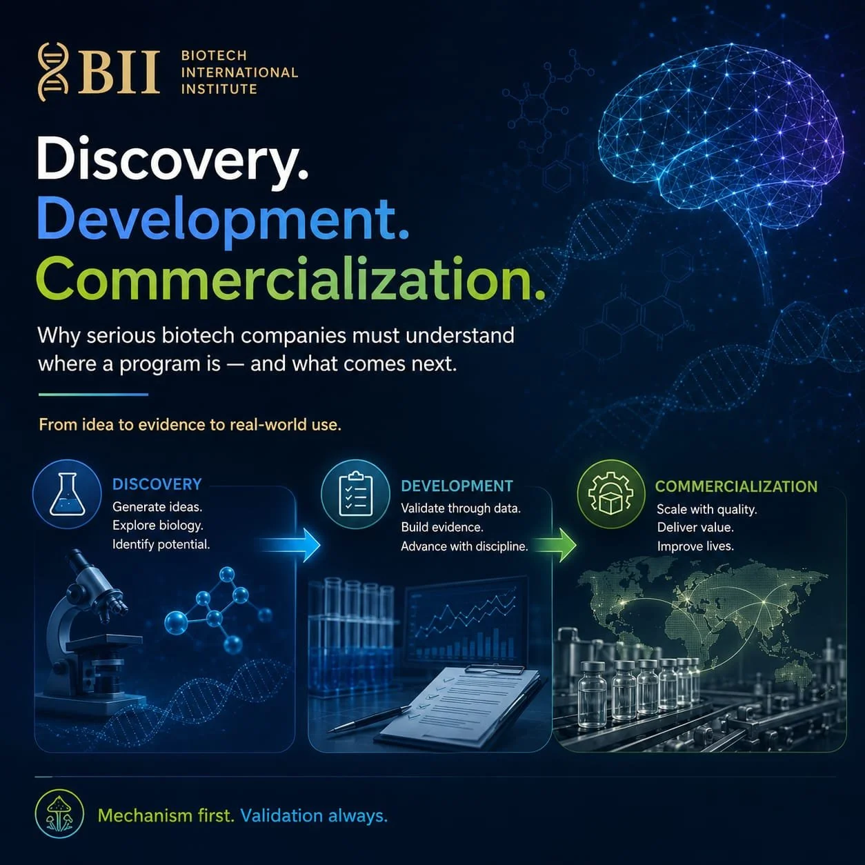 The Difference Between Discovery, Development, and Commercialization