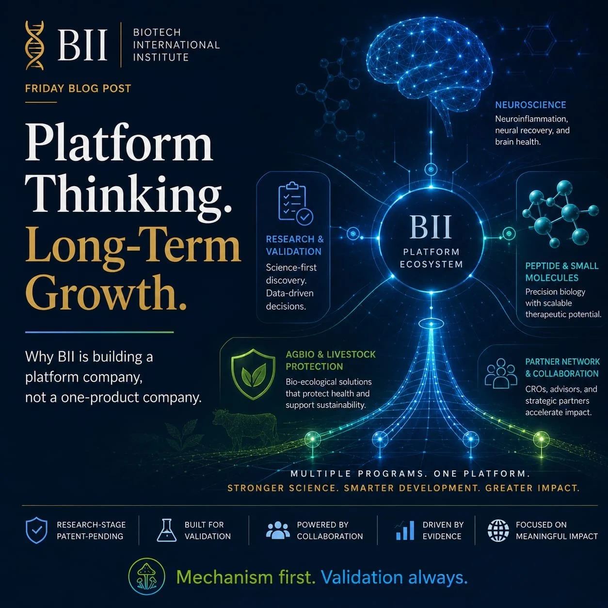 Why BII Is Building a Platform Company, Not a One-Product Company
