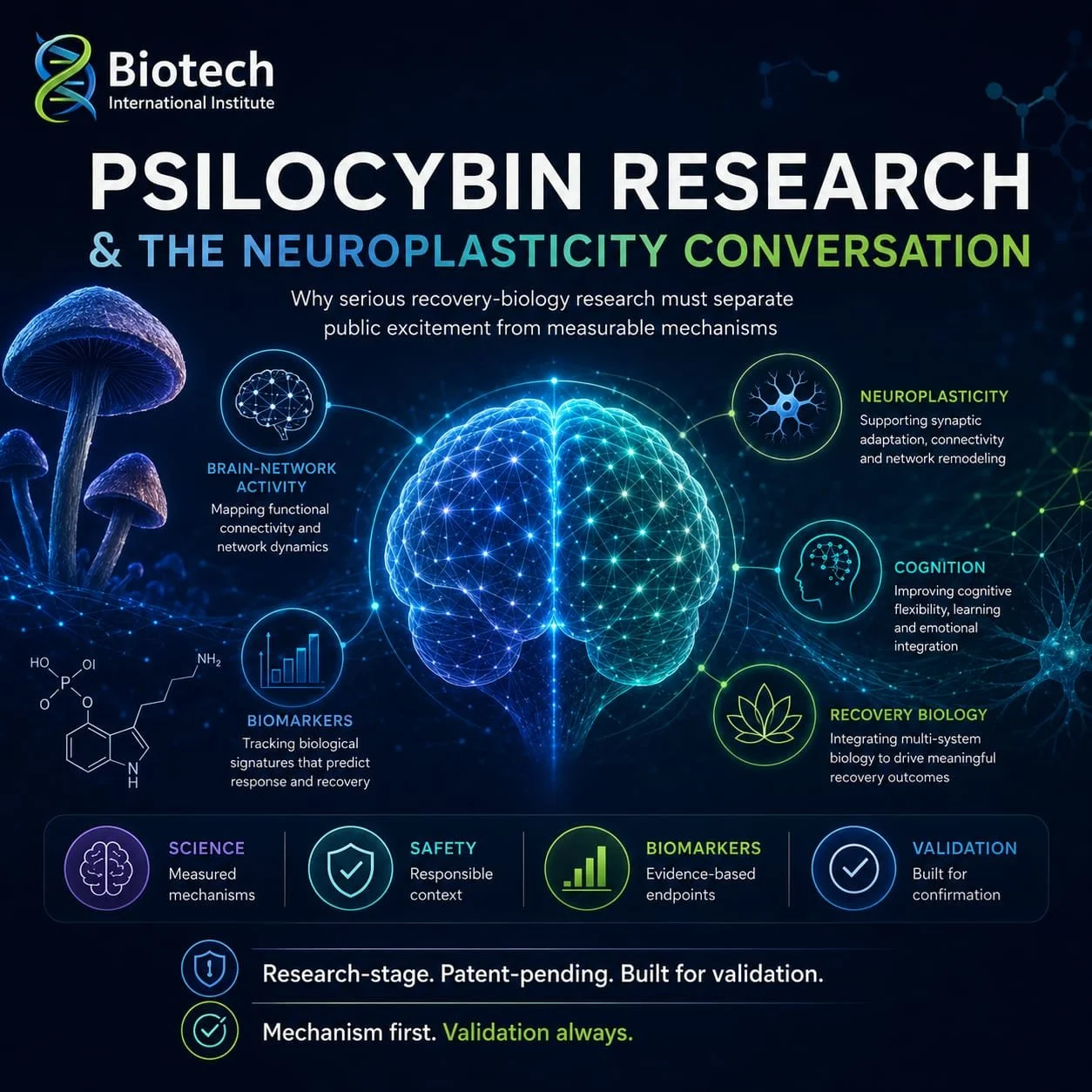 Psilocybin Research and the Neuroplasticity Conversation