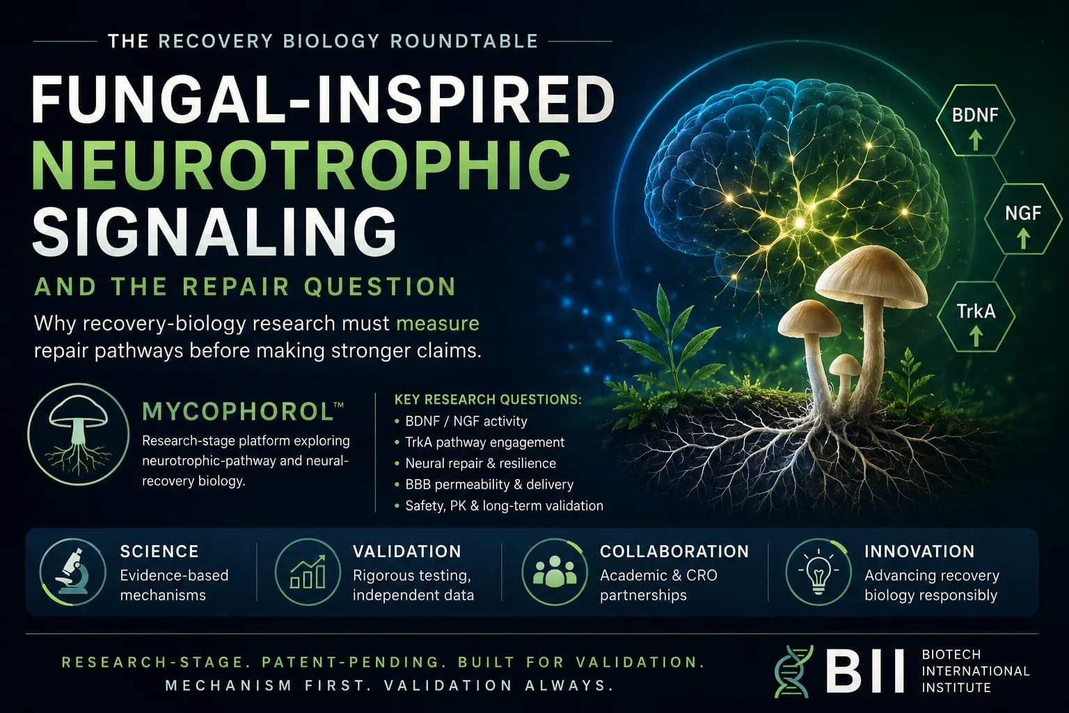 Fungal-Inspired Neurotrophic Signaling and the Repair Question