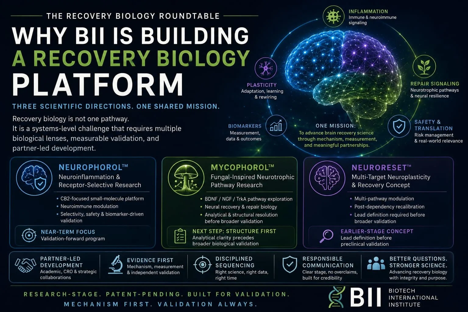 Why BII Is Building a Recovery Biology Platform