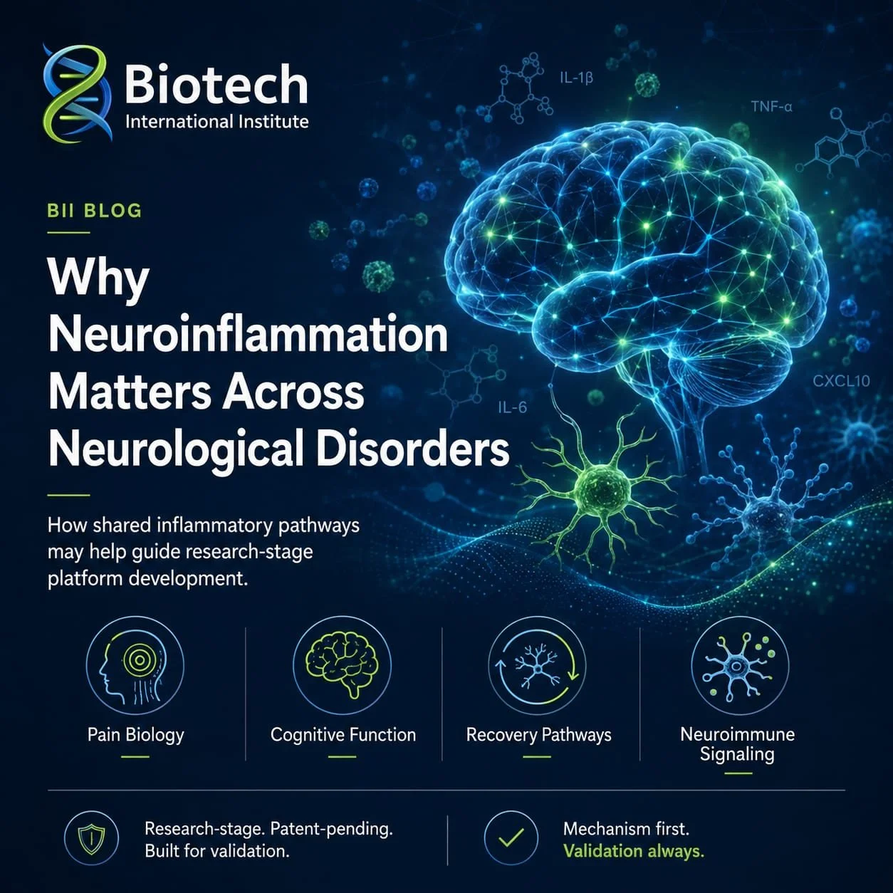 Why Neuroinflammation Matters Across Neurological Disorders