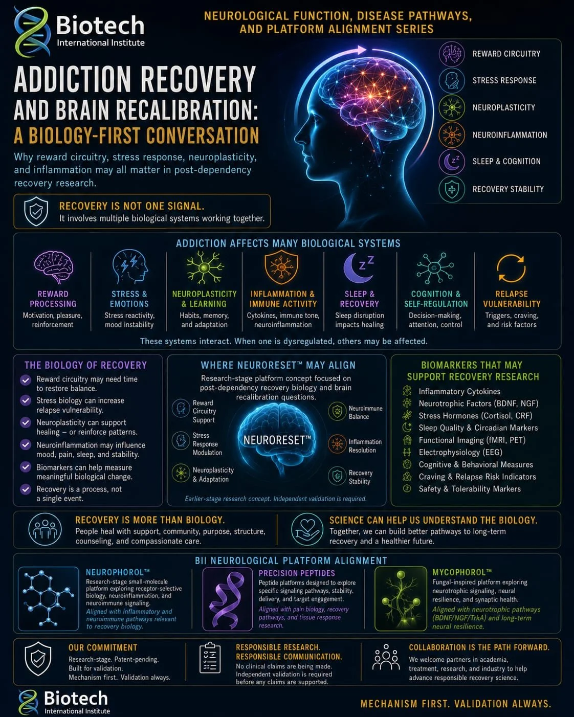 Addiction Recovery and Brain Recalibration: A Biology-First Conversation