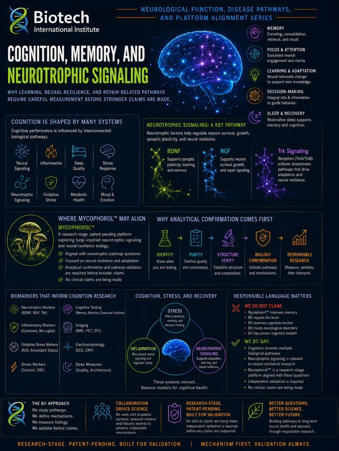 Cognition, Memory, and Neurotrophic Signaling