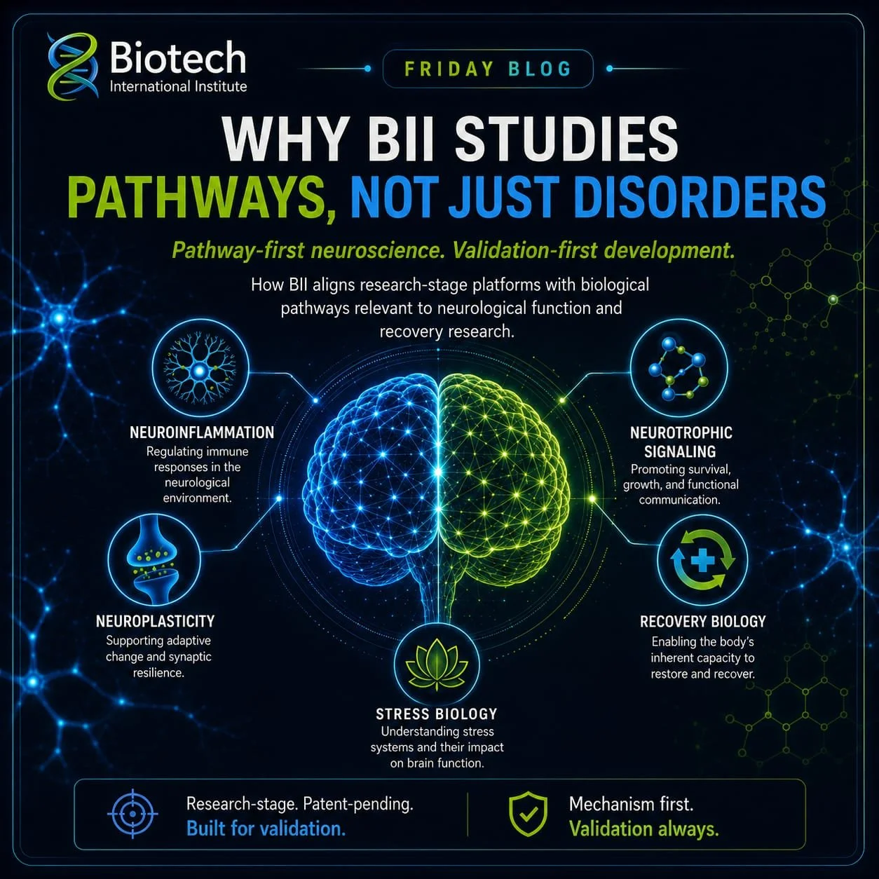 Why BII Studies Pathways, Not Just Disorders