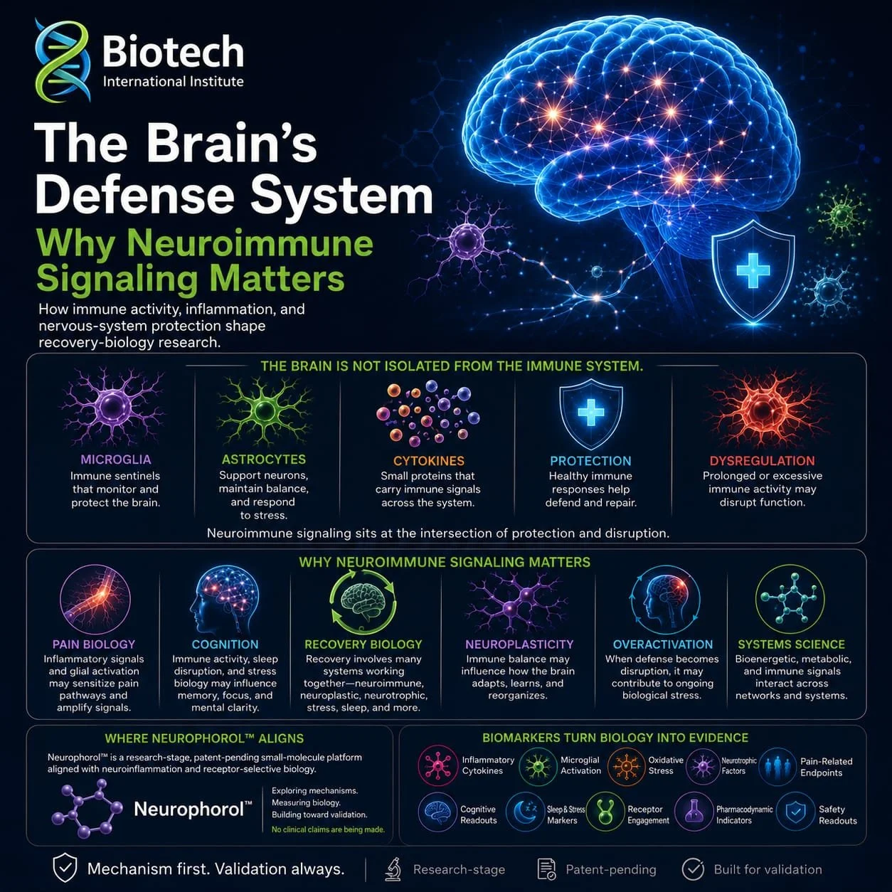 The Brain's Defense System: Why Neuroimmune Signaling Matters