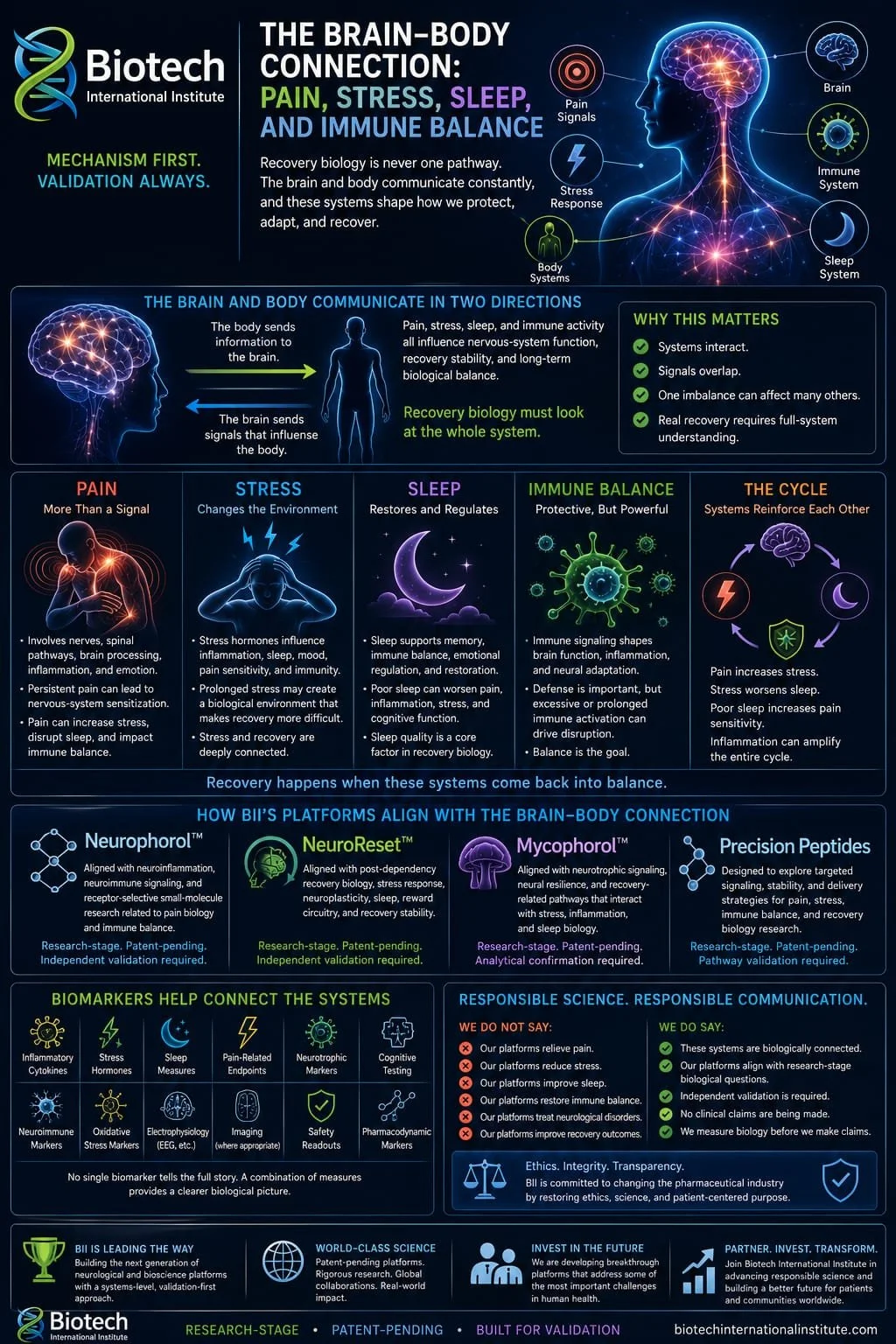 The Brain-Body Connection: Pain, Stress, Sleep, and Immune Balance