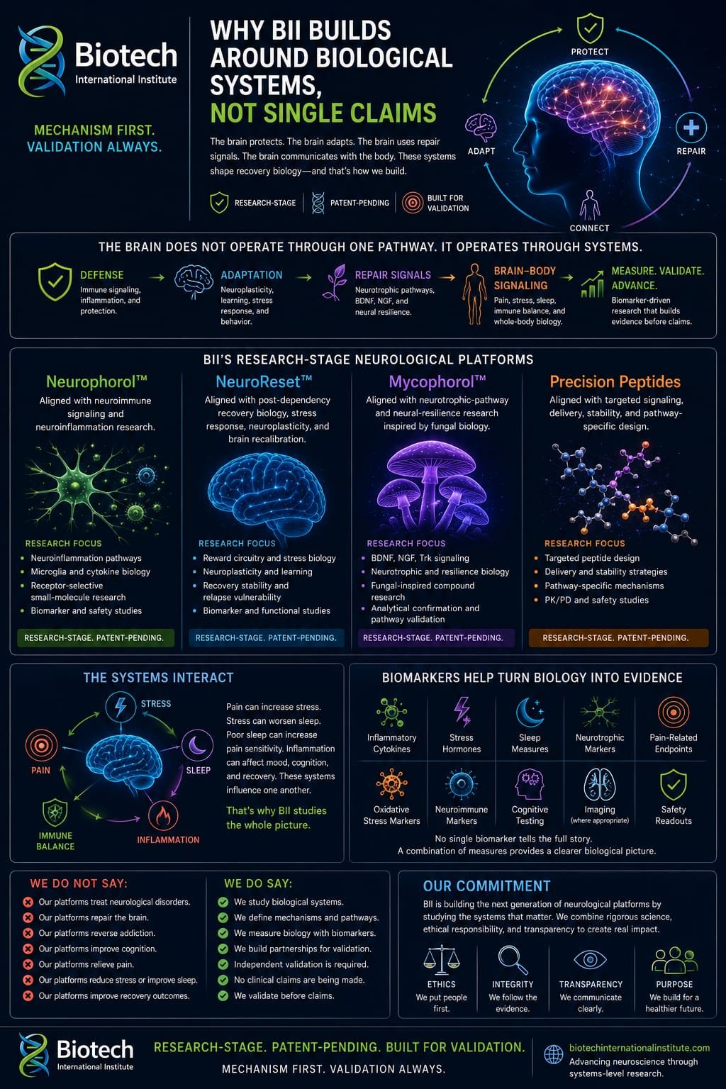 Why BII Builds Around Biological Systems, Not Single Claims