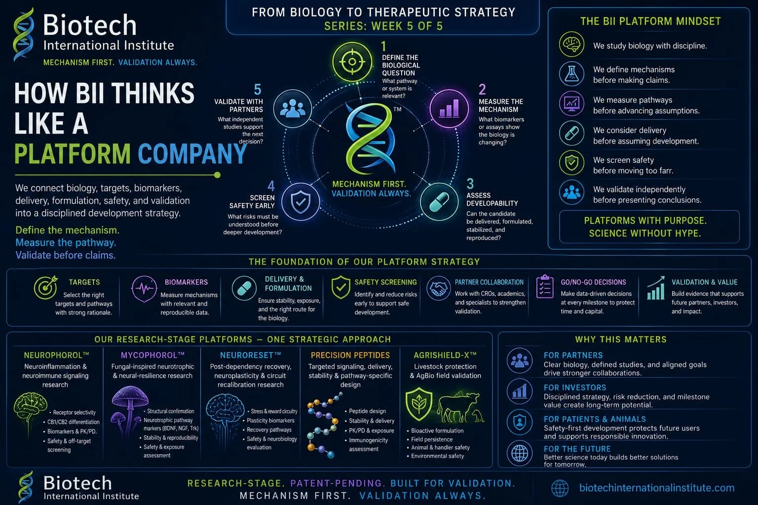 How BII Approaches Platform-Level Thinking