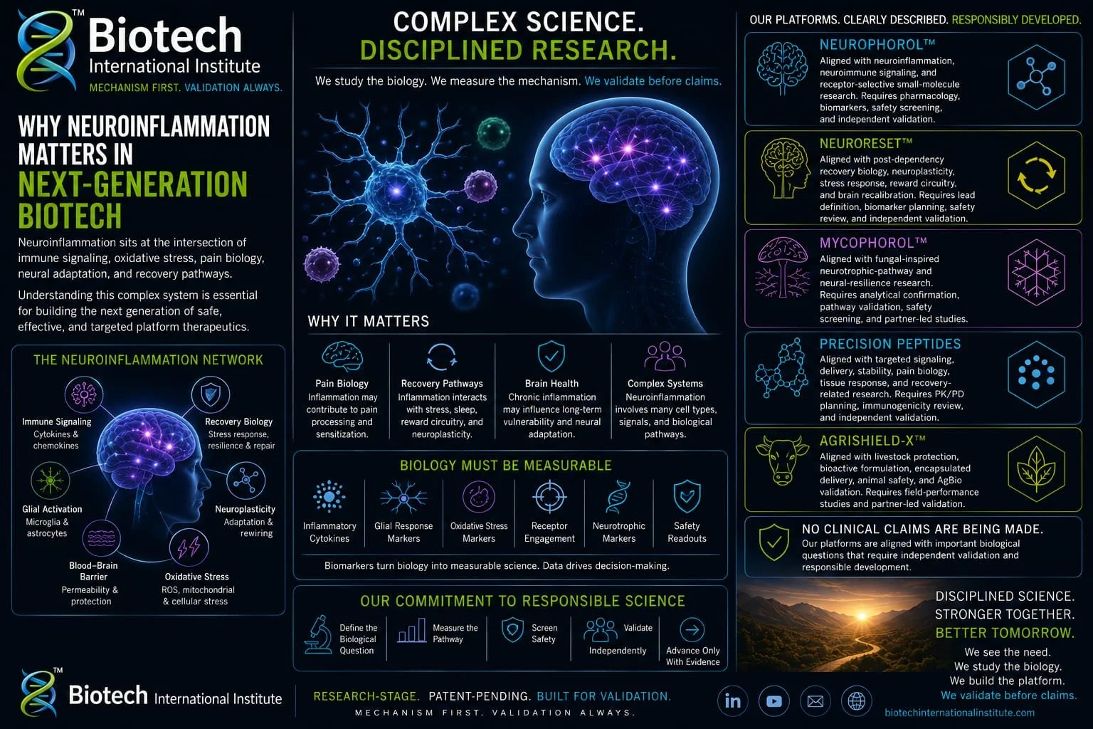 Why Neuroinflammation Matters in Next-Generation Biotech
