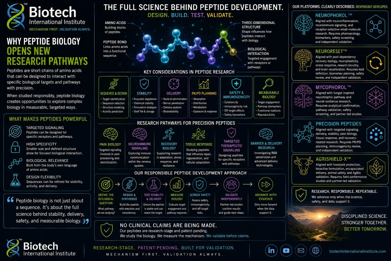 Why Peptide Biology Opens New Research Pathways