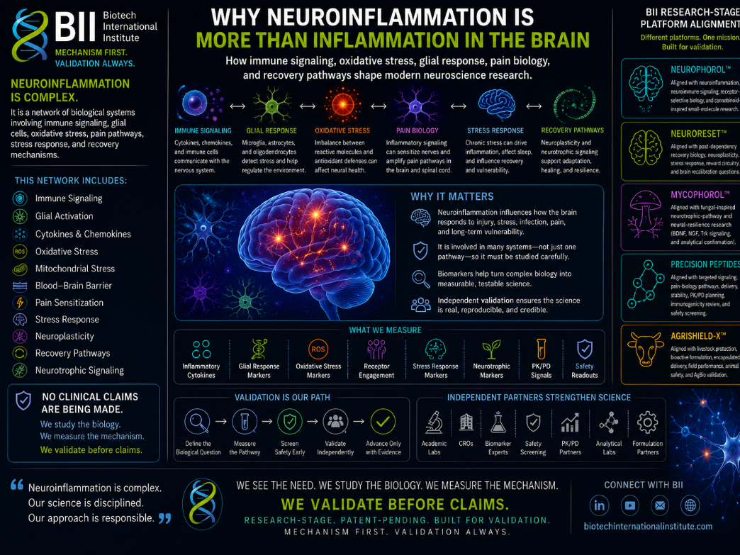 Why Neuroinflammation Is More Than Inflammation in the Brain