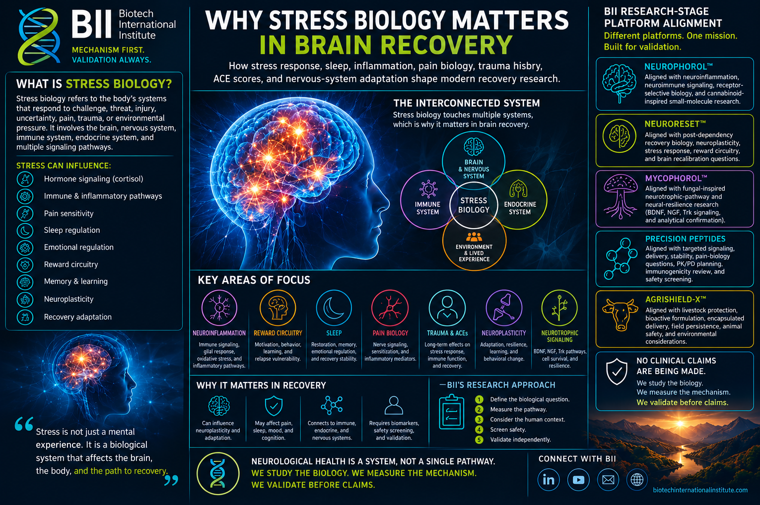 Why Stress Biology Matters in Brain Recovery