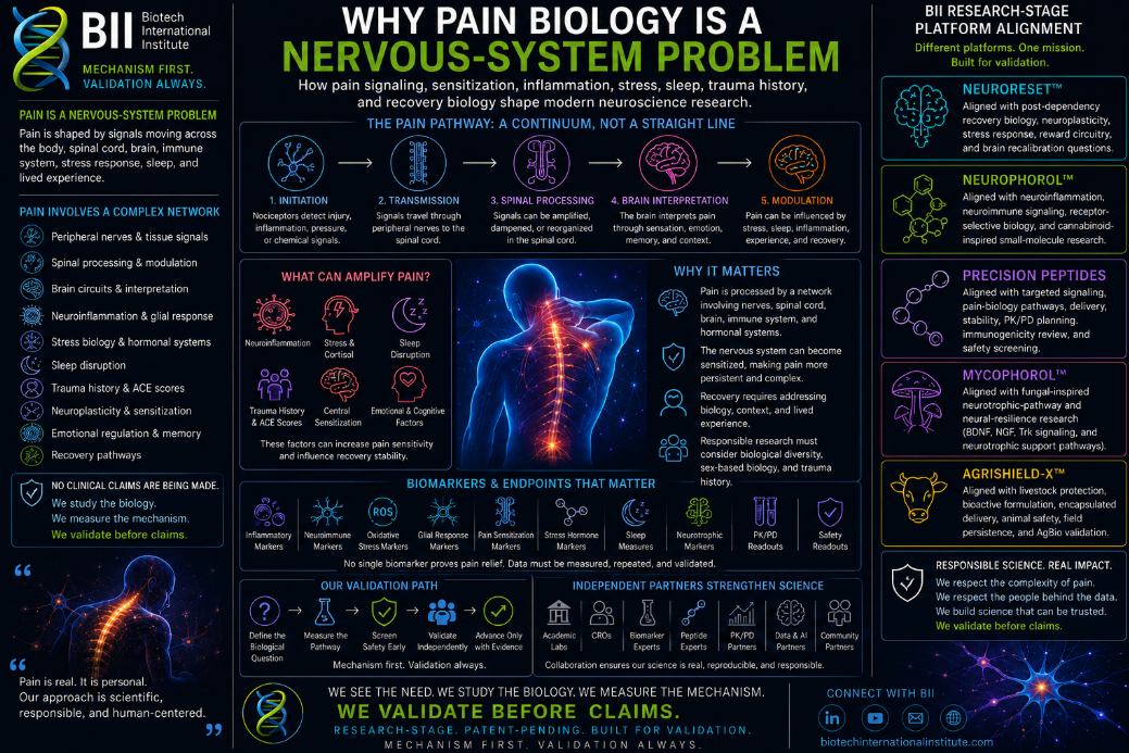 Why Pain Biology Is a Nervous-System Problem