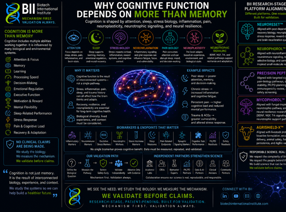 Why Cognitive Function Depends on More Than Memory