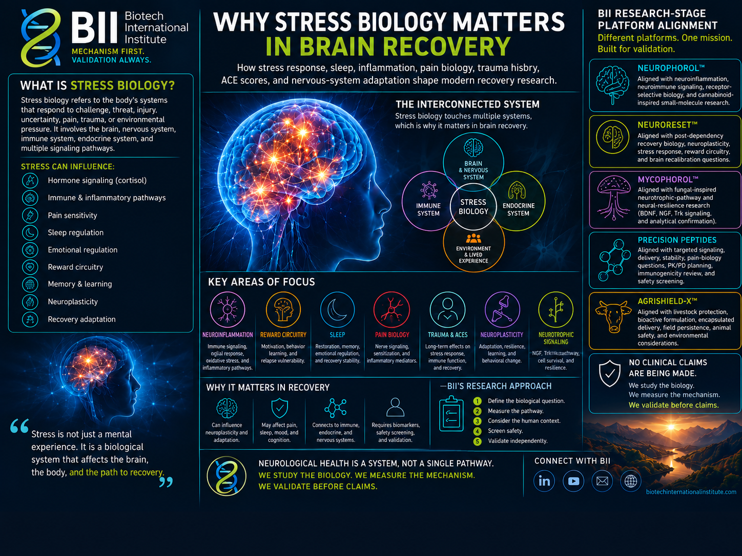 How BII Studies Neurological Complexity Without Overclaiming