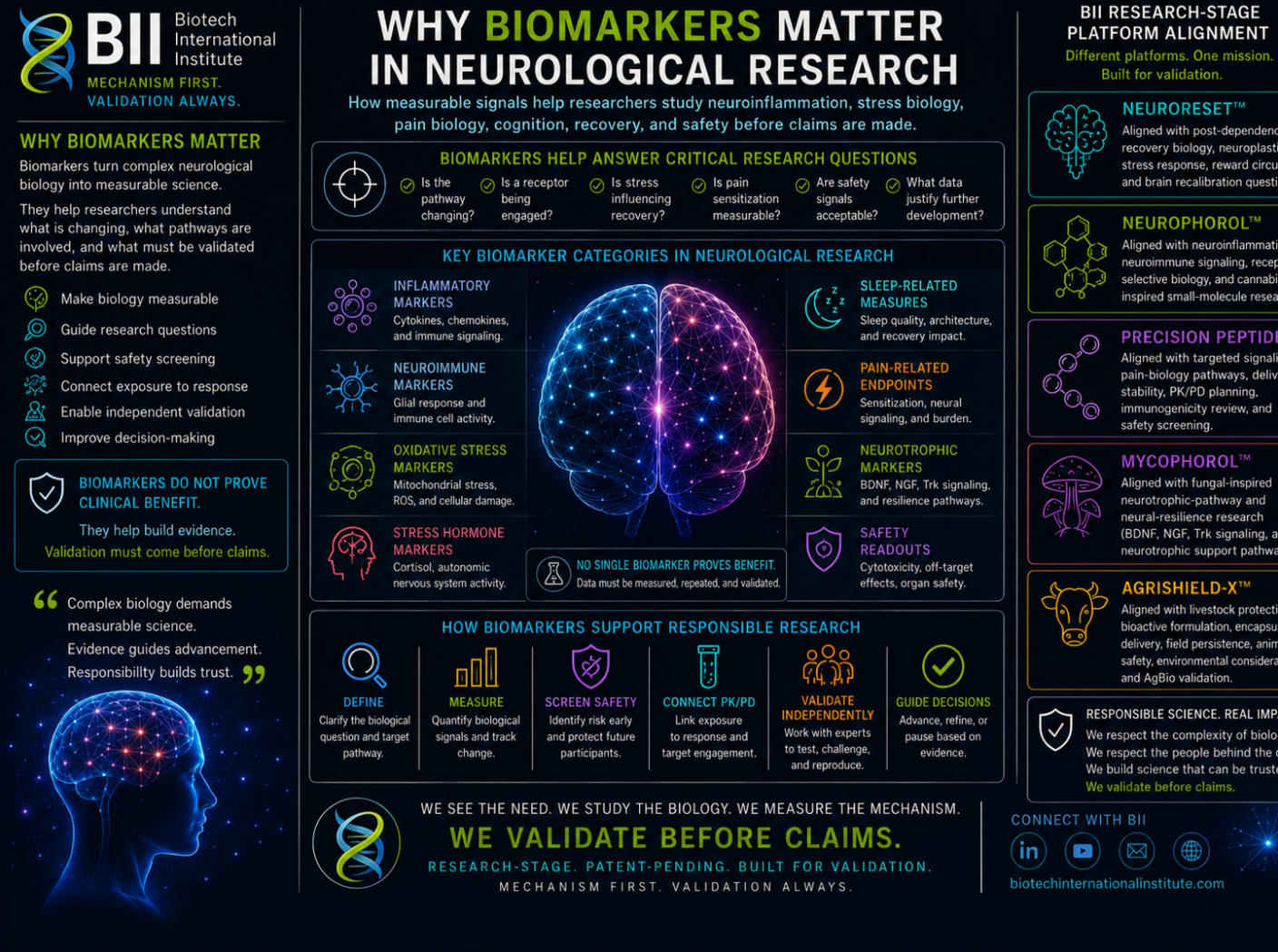 Why Biomarkers Matter in Neurological Research
