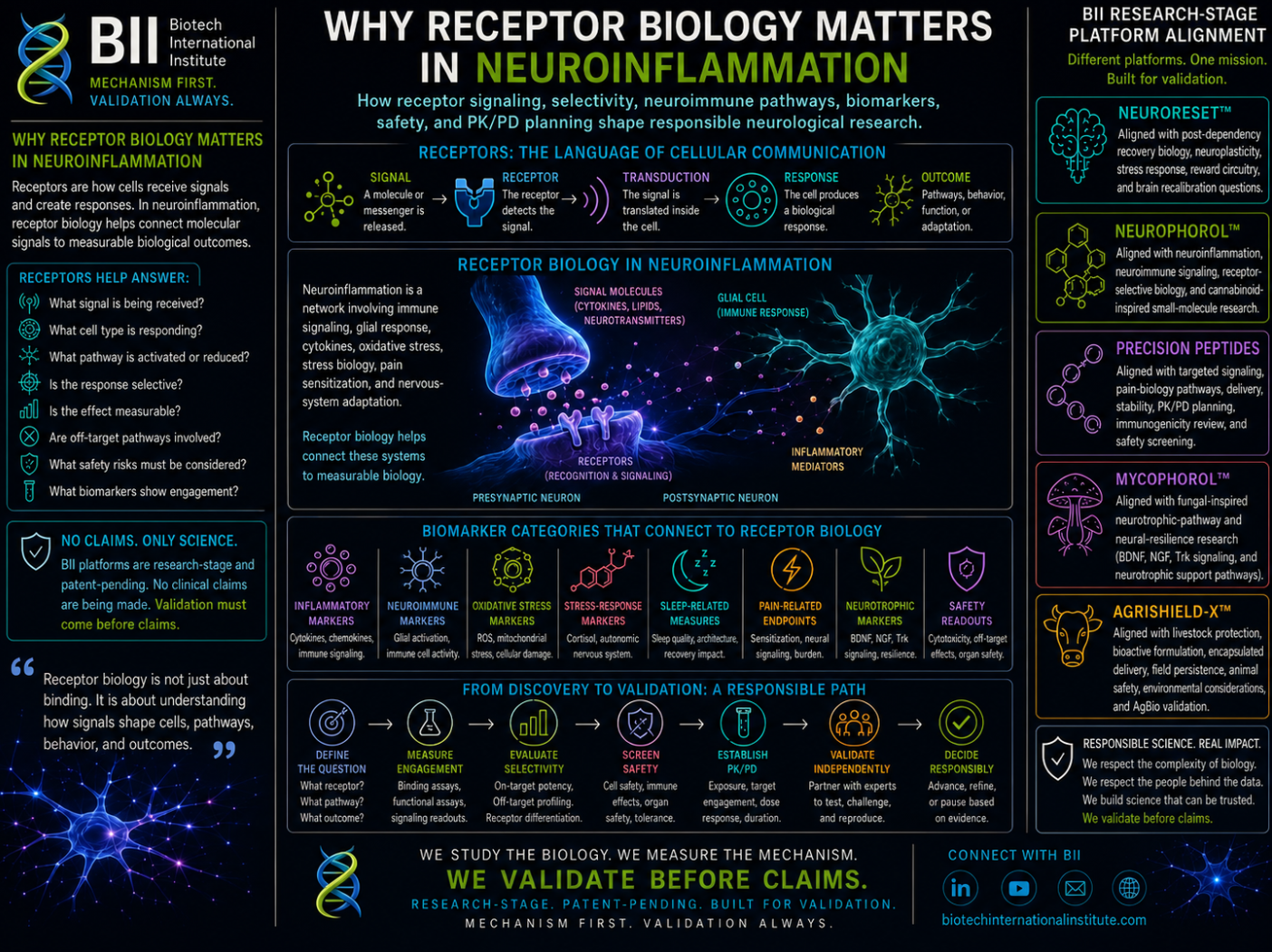 Why Receptor Biology Matters in Neuroinflammation