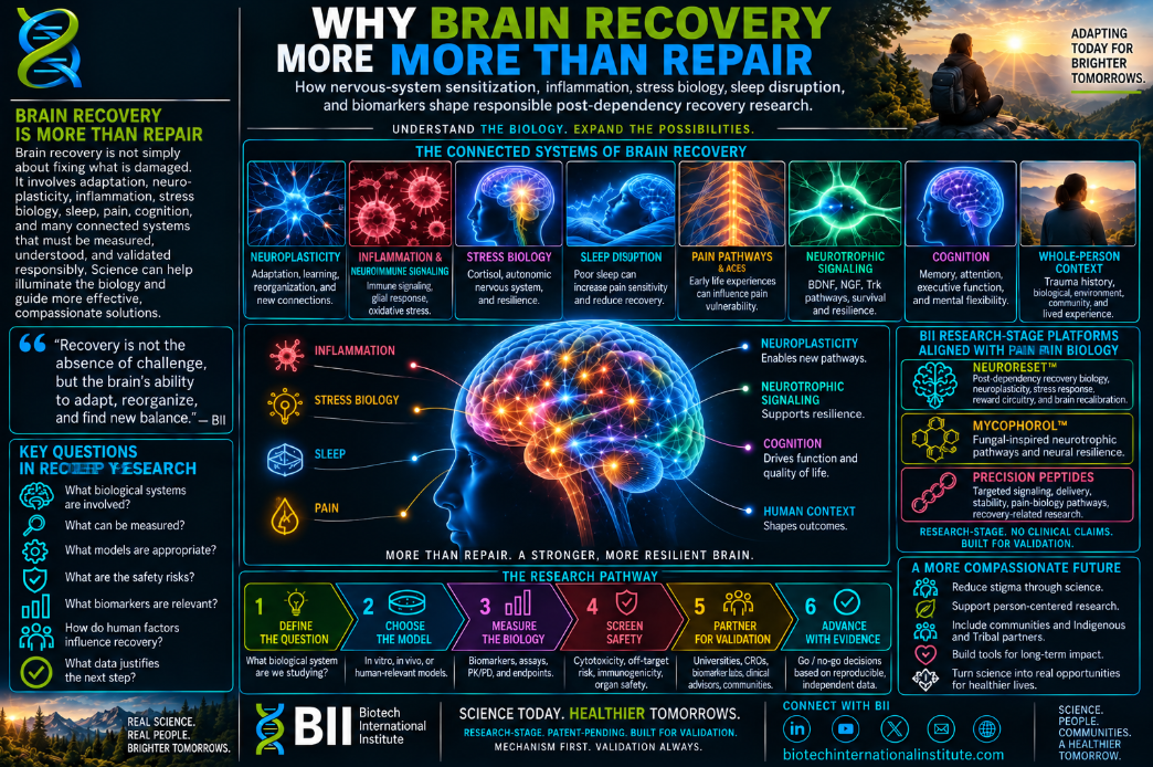 Why Brain Recovery Is More Than Repair