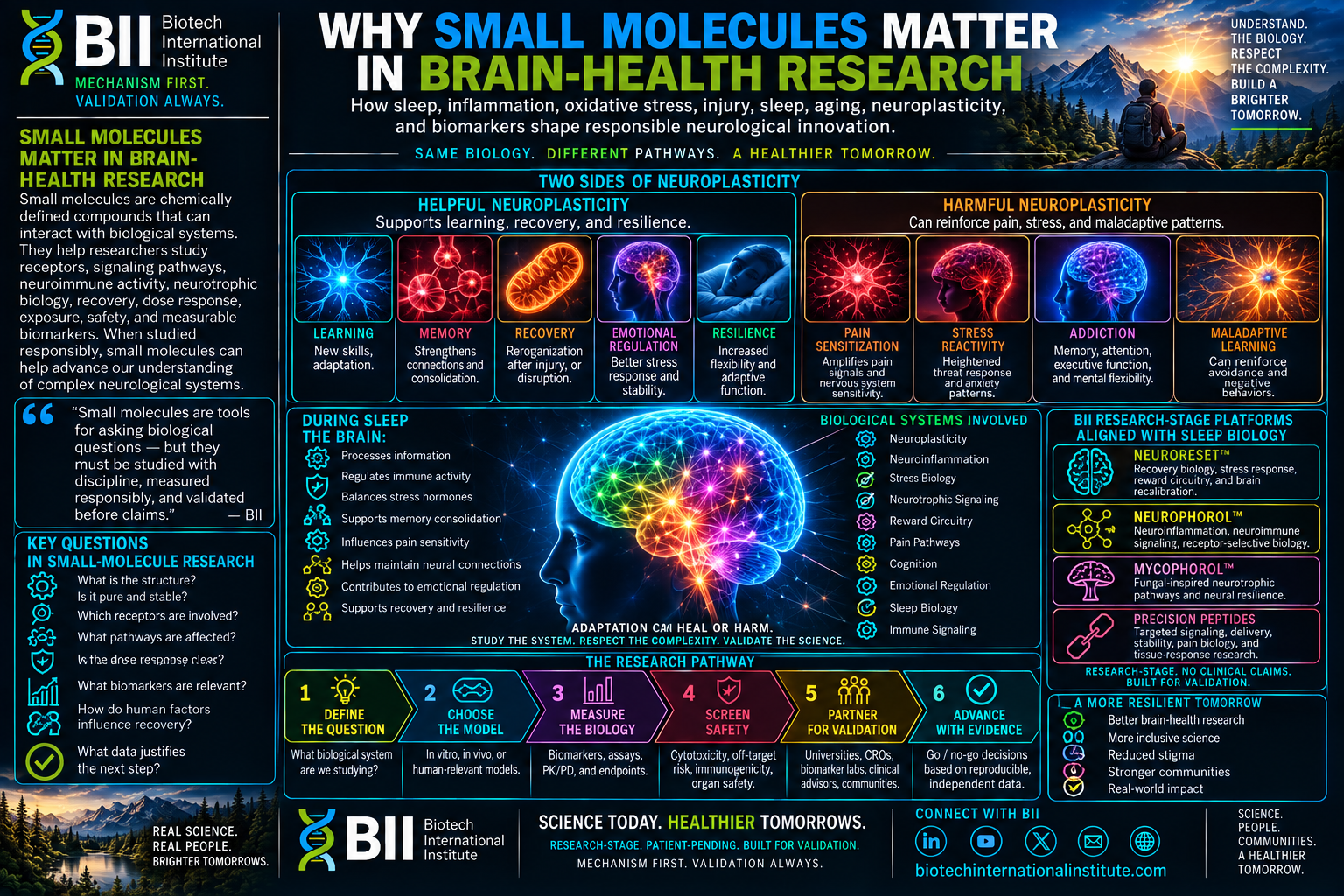 Why Small Molecules Matter in Brain-Health Research
