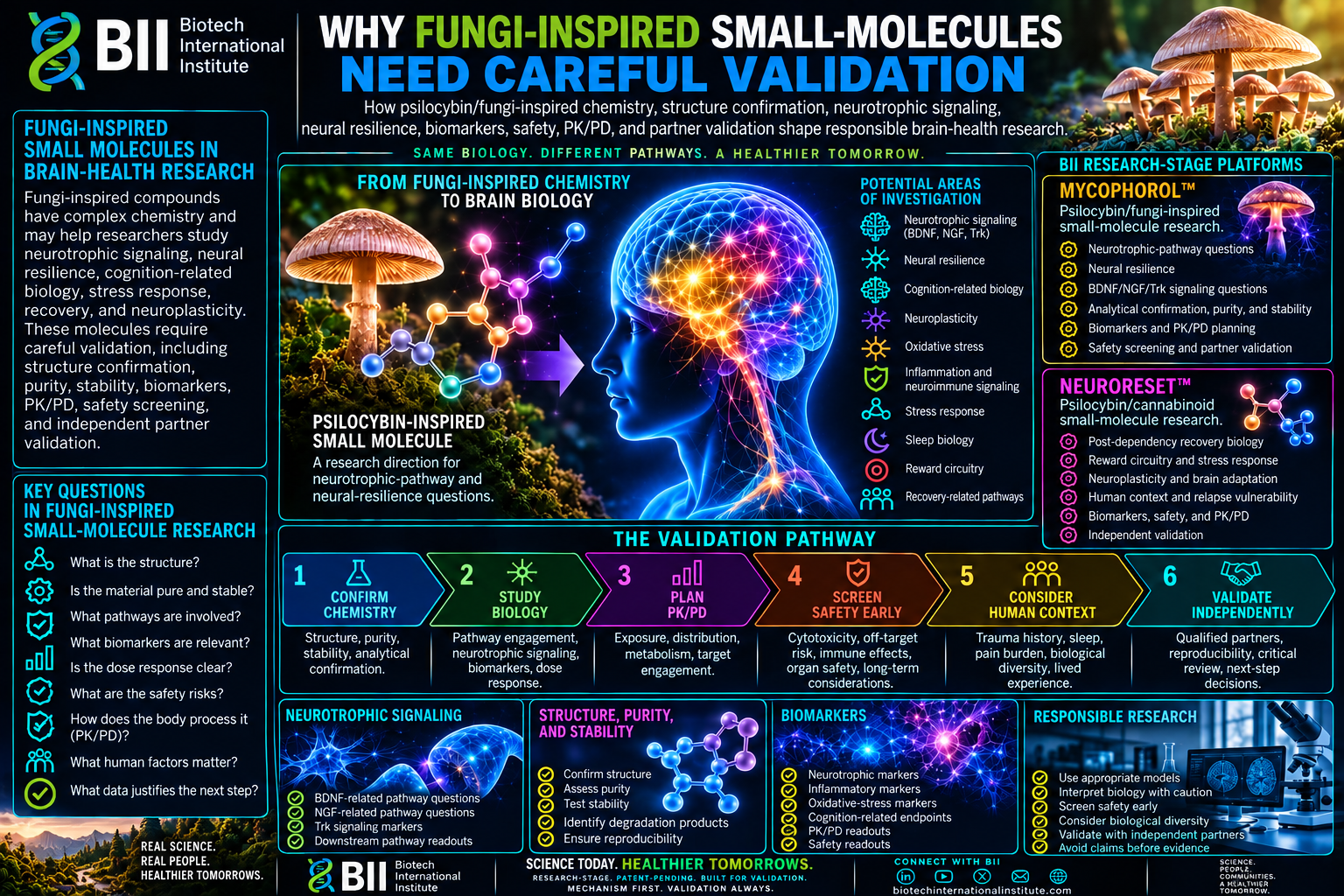 Why Fungi-Inspired Small Molecules Need Careful Validation