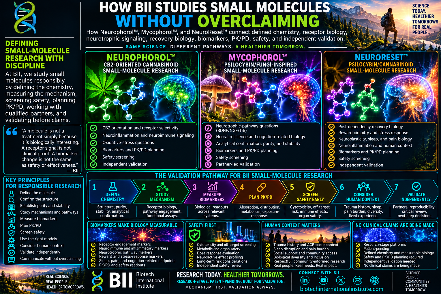 How BII Studies Small Molecules Without Overclaiming