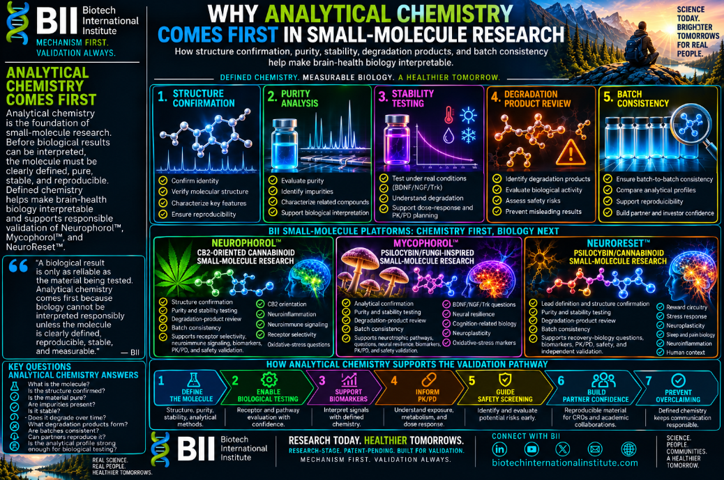 Why Analytical Chemistry Comes First in Small-Molecule Research