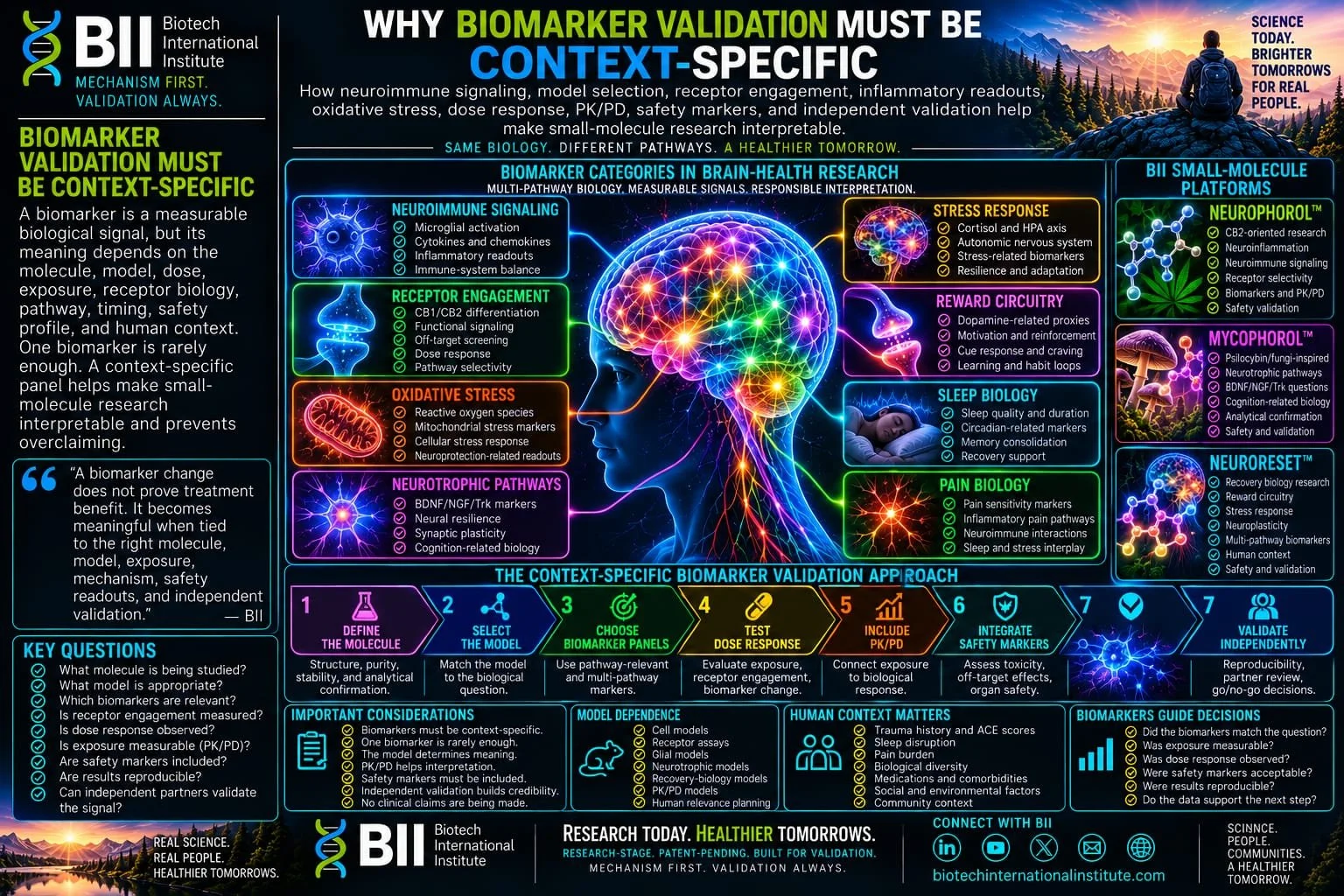 Molecules to Evidence: How BII Builds Validation Pathways.