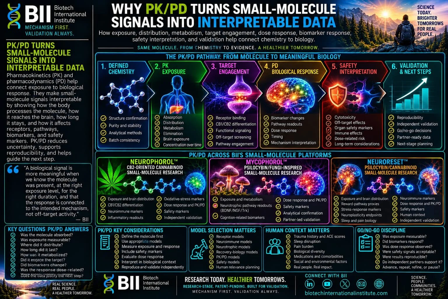 Why PK/PD Turns Small-Molecule Signals Into Interpretable Data