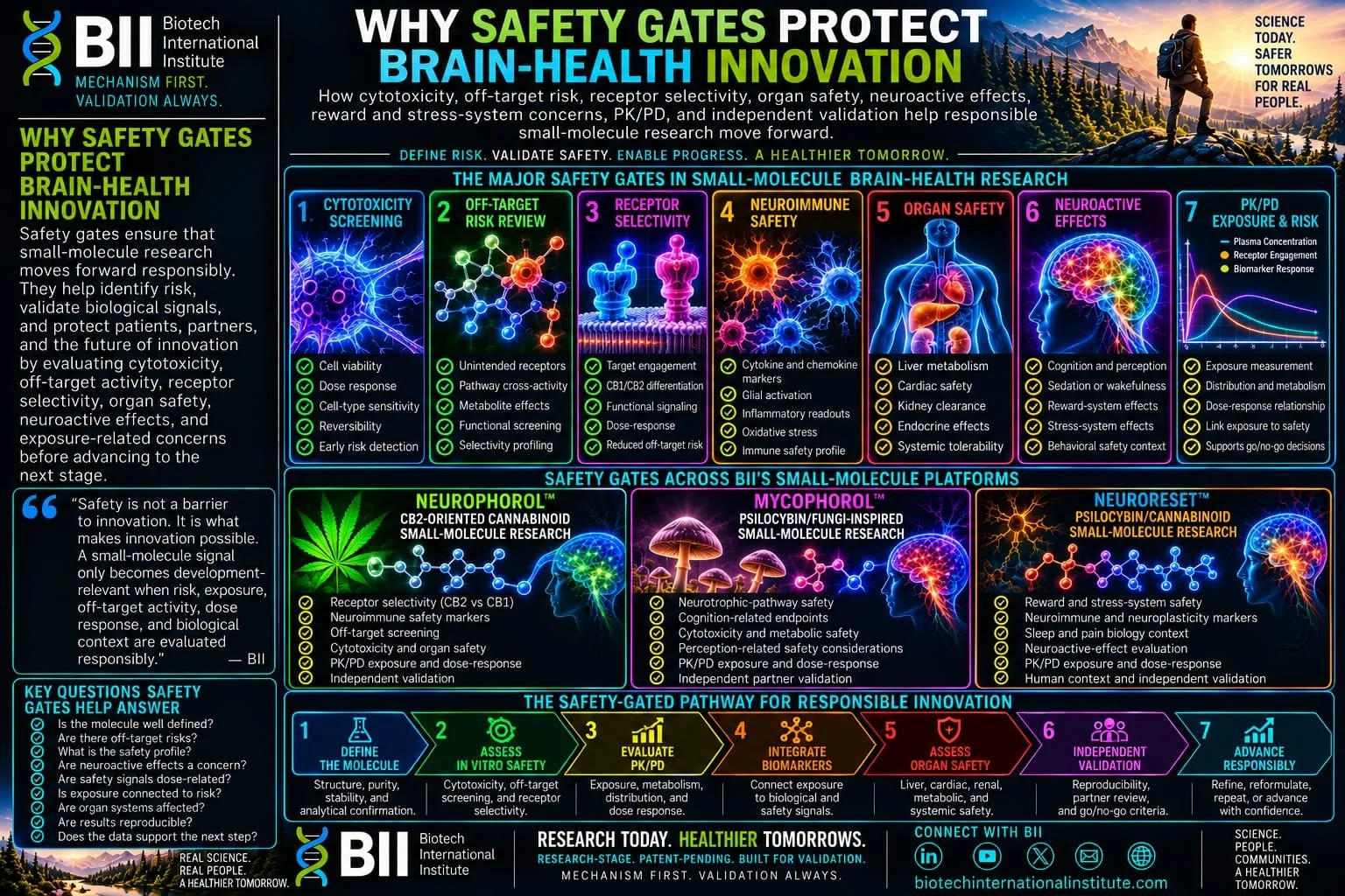 Why Safety Gates Protect Brain-Health Innovation