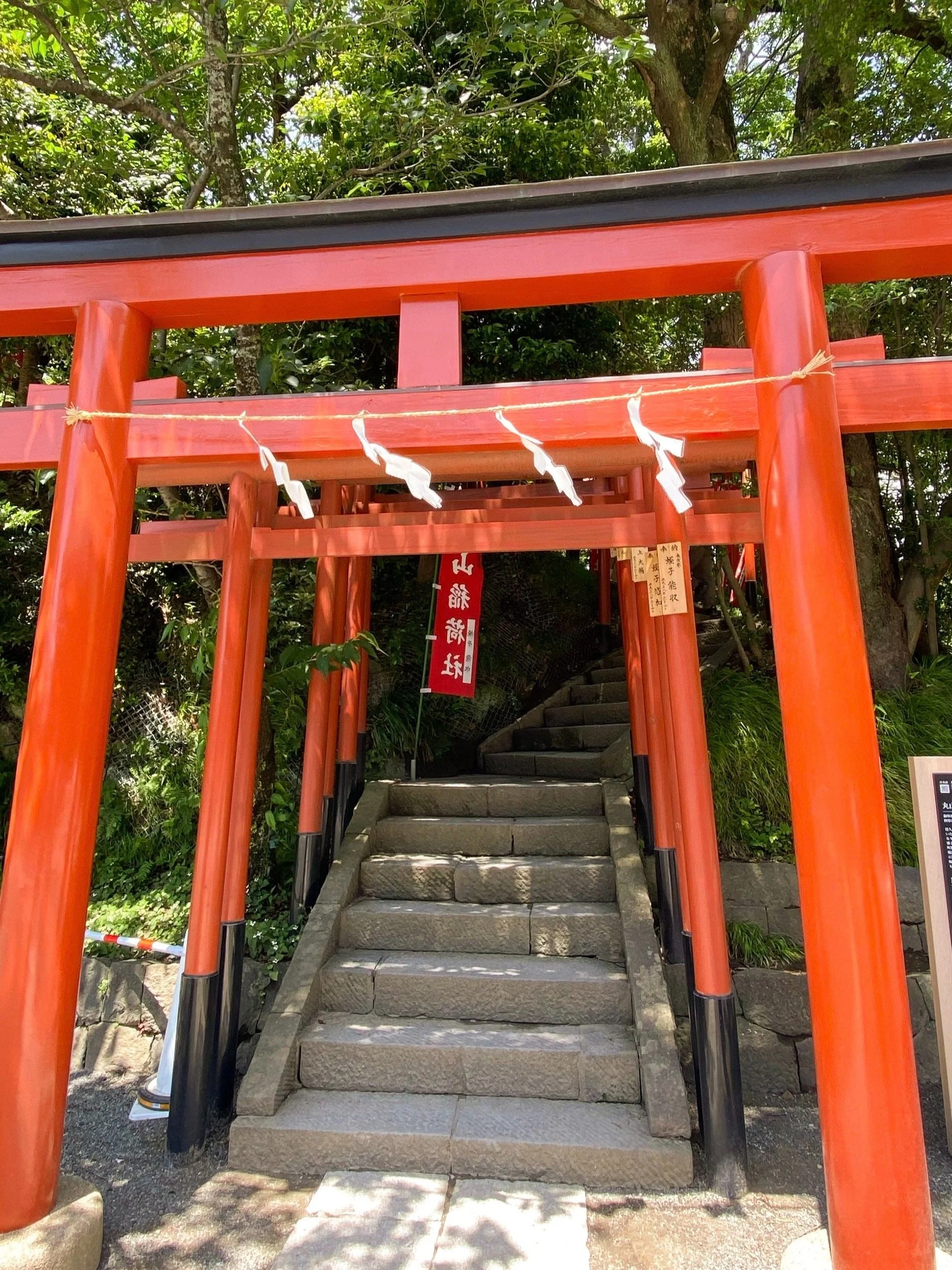 Maruyama Inari Shrine: A serene day trip from Tokyo, featuring red torii gates in a lush Kyoto forest
