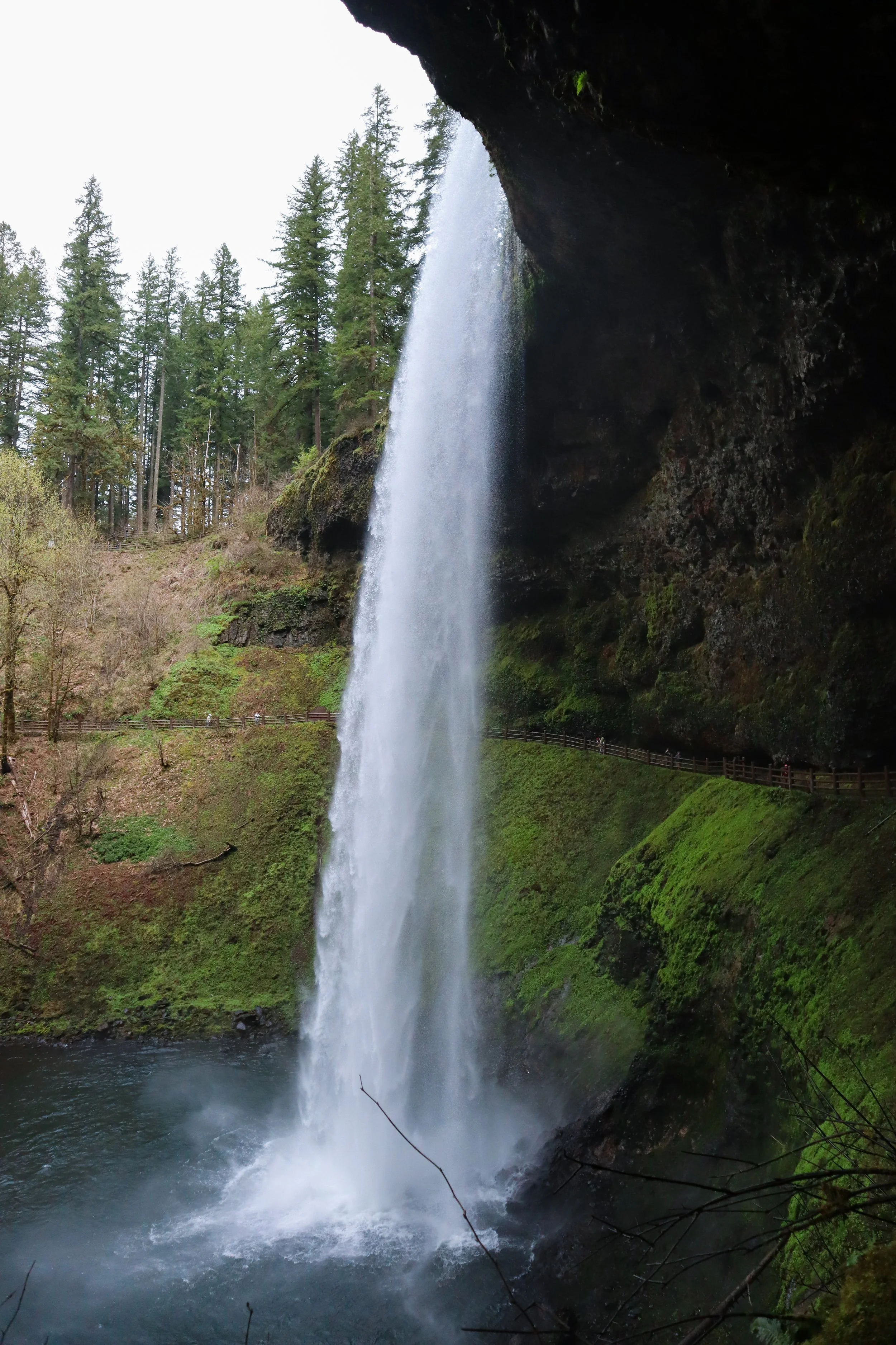 A scenic view of the Trail of Ten Falls in Silver Falls State Park, Oregon, with a waterfall cascading down a rocky cliff surrounded by lush forest—an essential stop on a perfect 4-day Oregon trip.
