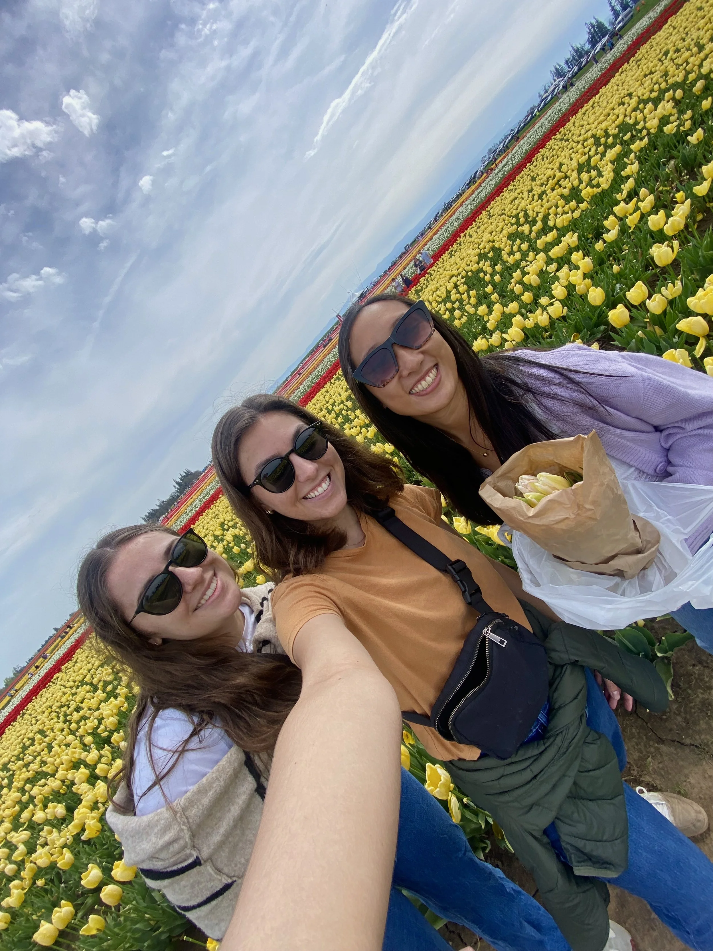 A vibrant display of blooming tulips in various colors at Wooden Shoe Tulip Farm in Oregon, with rows of flowers stretching into the distance. A picturesque stop for a perfect 4-day Oregon trip.