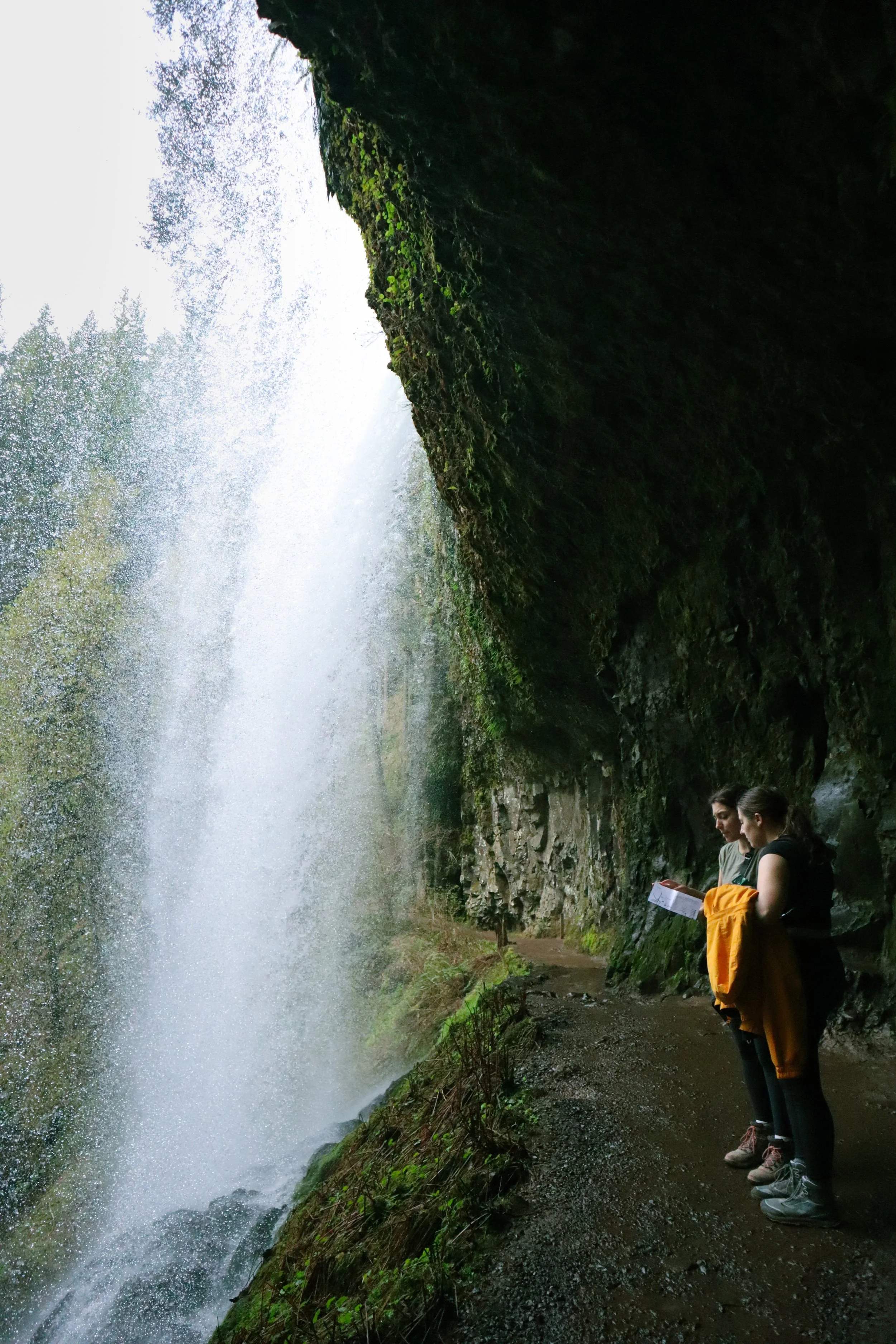 A scenic view of the Trail of Ten Falls in Silver Falls State Park, Oregon, with a waterfall cascading down a rocky cliff surrounded by lush forest—an essential stop on a perfect 4-day Oregon trip.