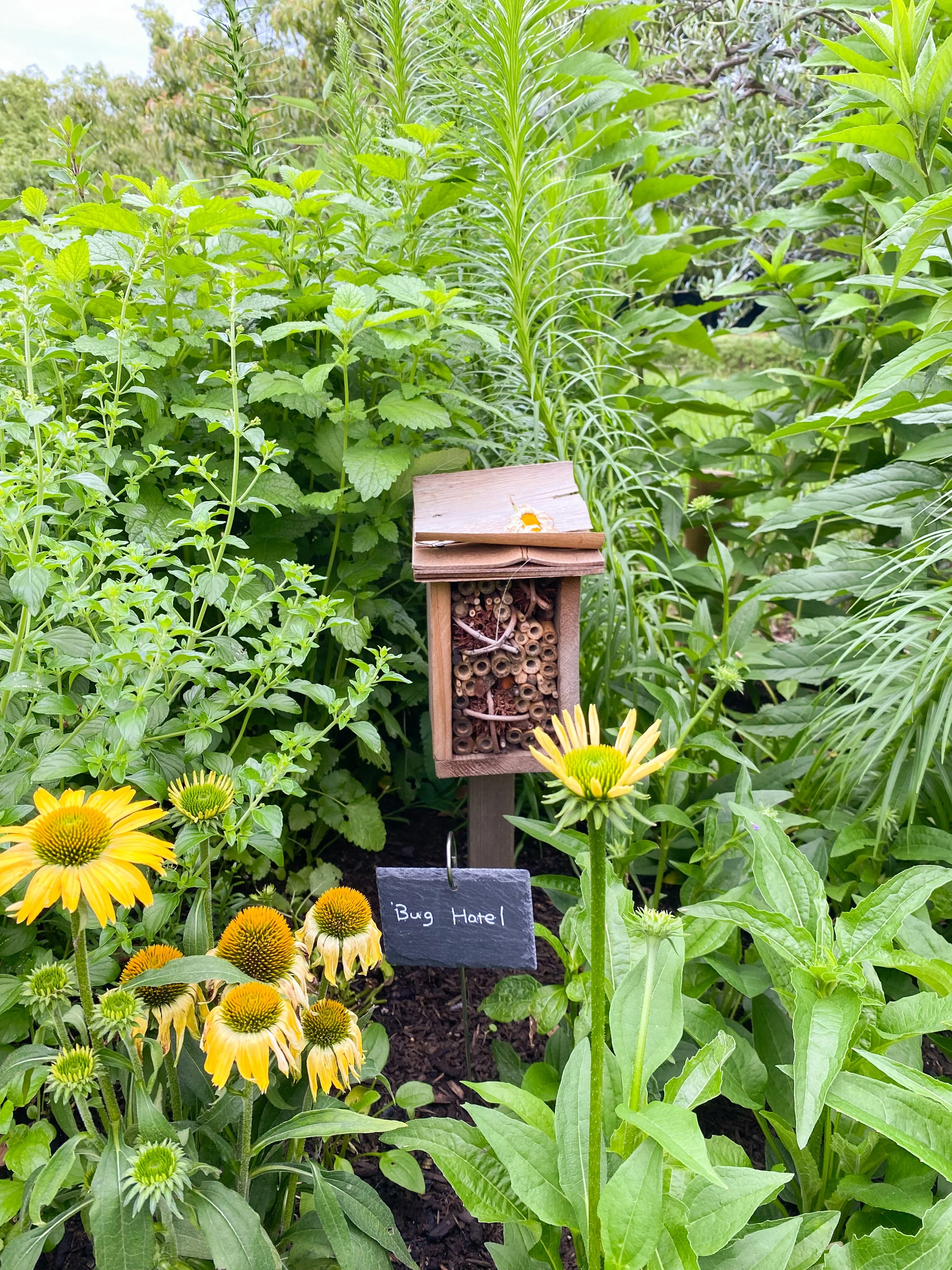 Key stop on 48-hour Tokyo itinerary. Yoyogi Park, Tokyo, Japan. Lush greenery, peaceful pathways, vibrant cherry blossoms, Meiji Shrine, and relaxing atmosphere.