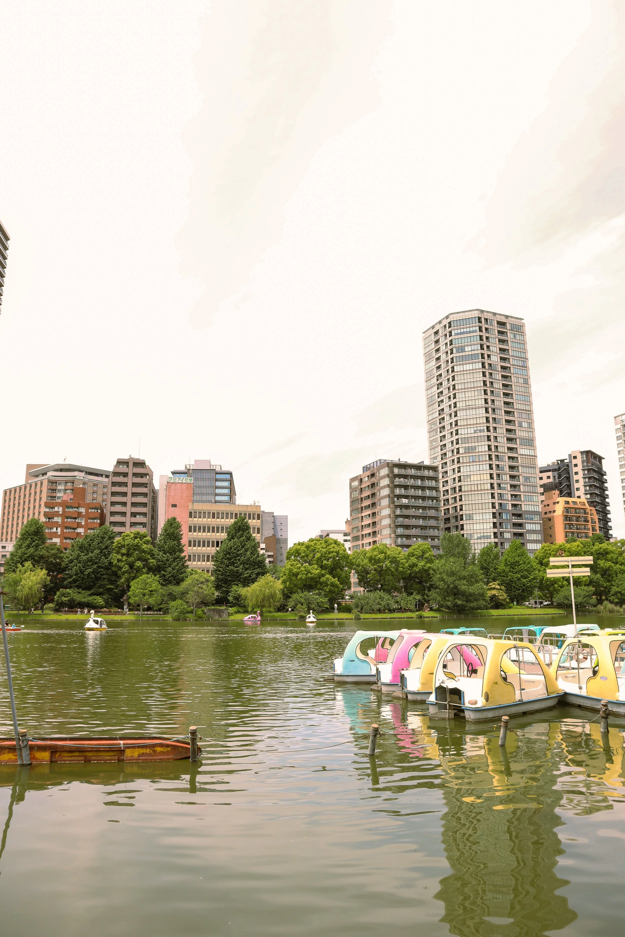 Key stop on 48-hour Tokyo itinerary. Ueno Park, Tokyo, Japan. Cherry blossom trees, Shinobazu Pond, Ueno Zoo, museums, and vibrant spring atmosphere.
